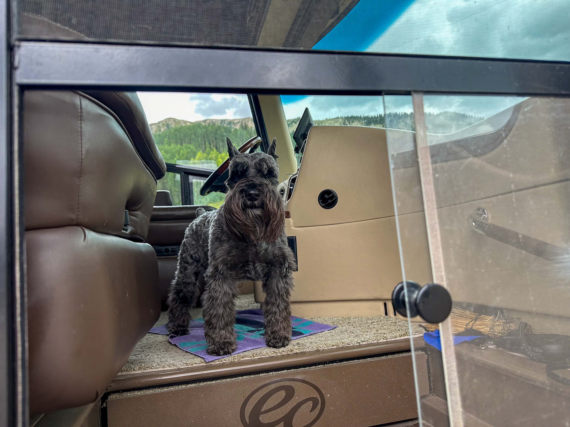 We've arrived - let me out