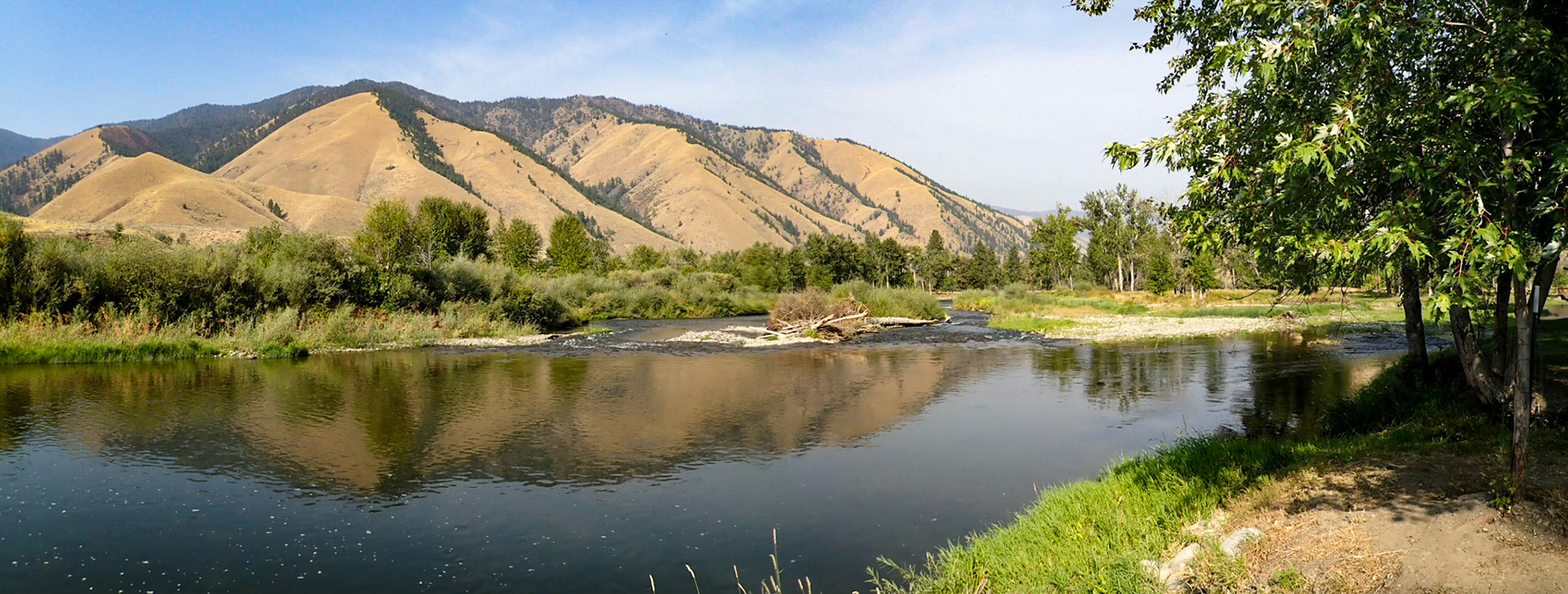 Behind our campsite at Waggonhammer RV in North Fork, ID