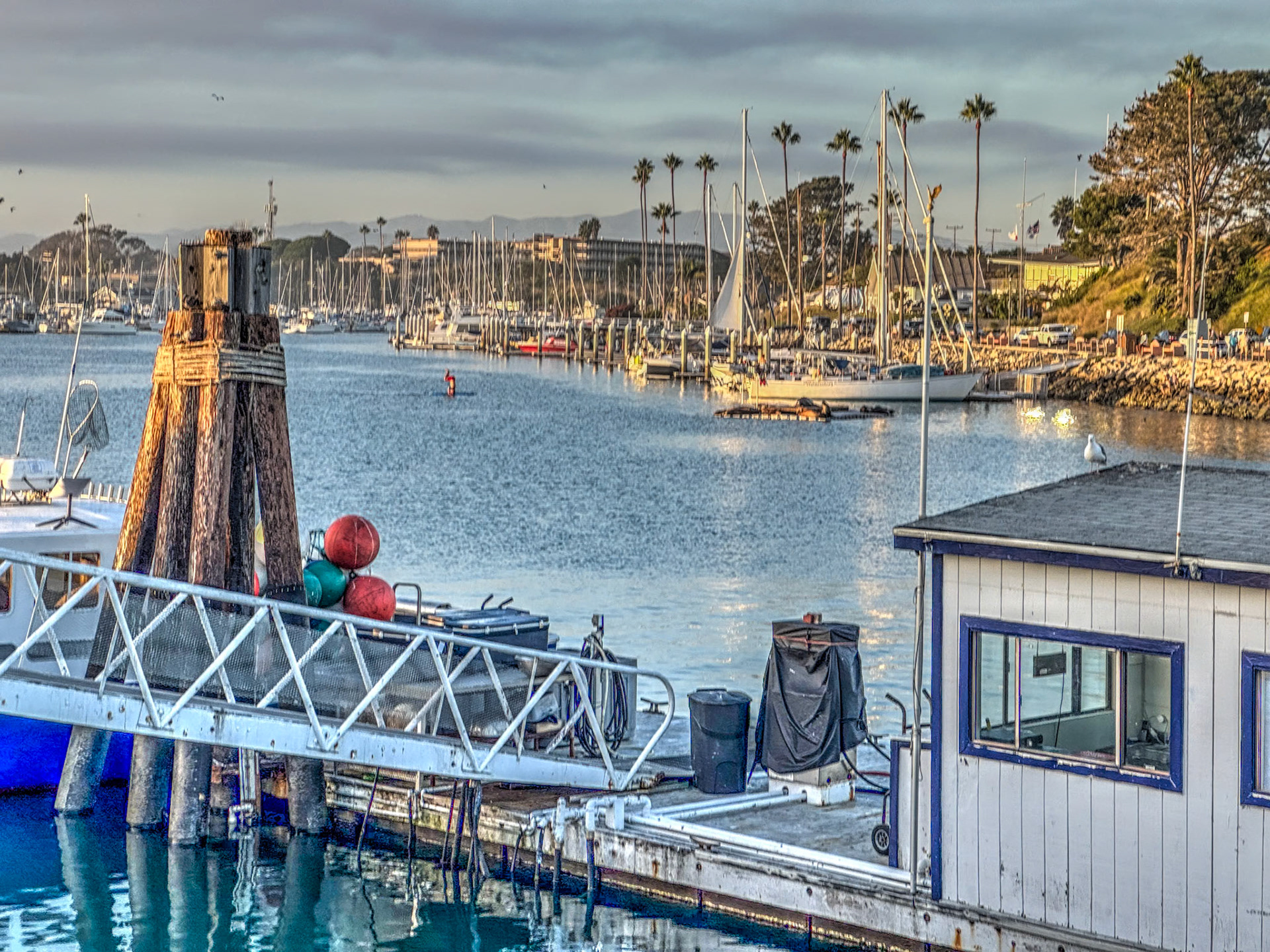 Oceanside Harbor