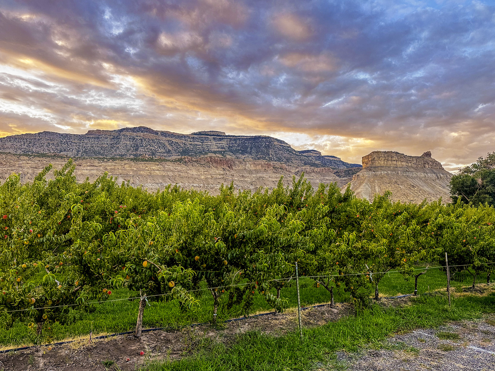 Sunrise at our campground