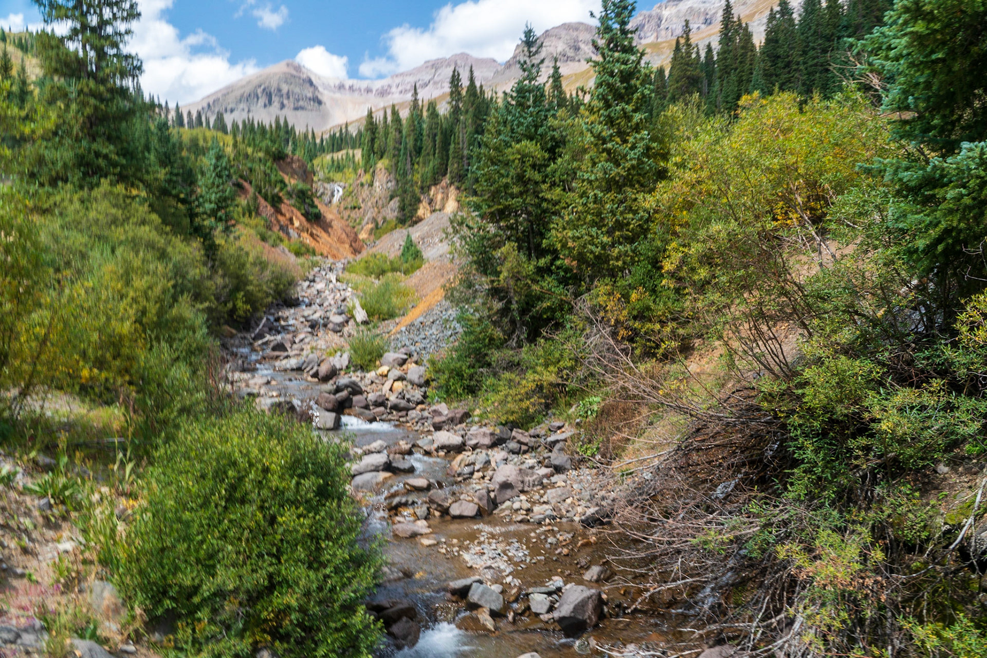 Sneffels Creek, near Yankee Boy Road