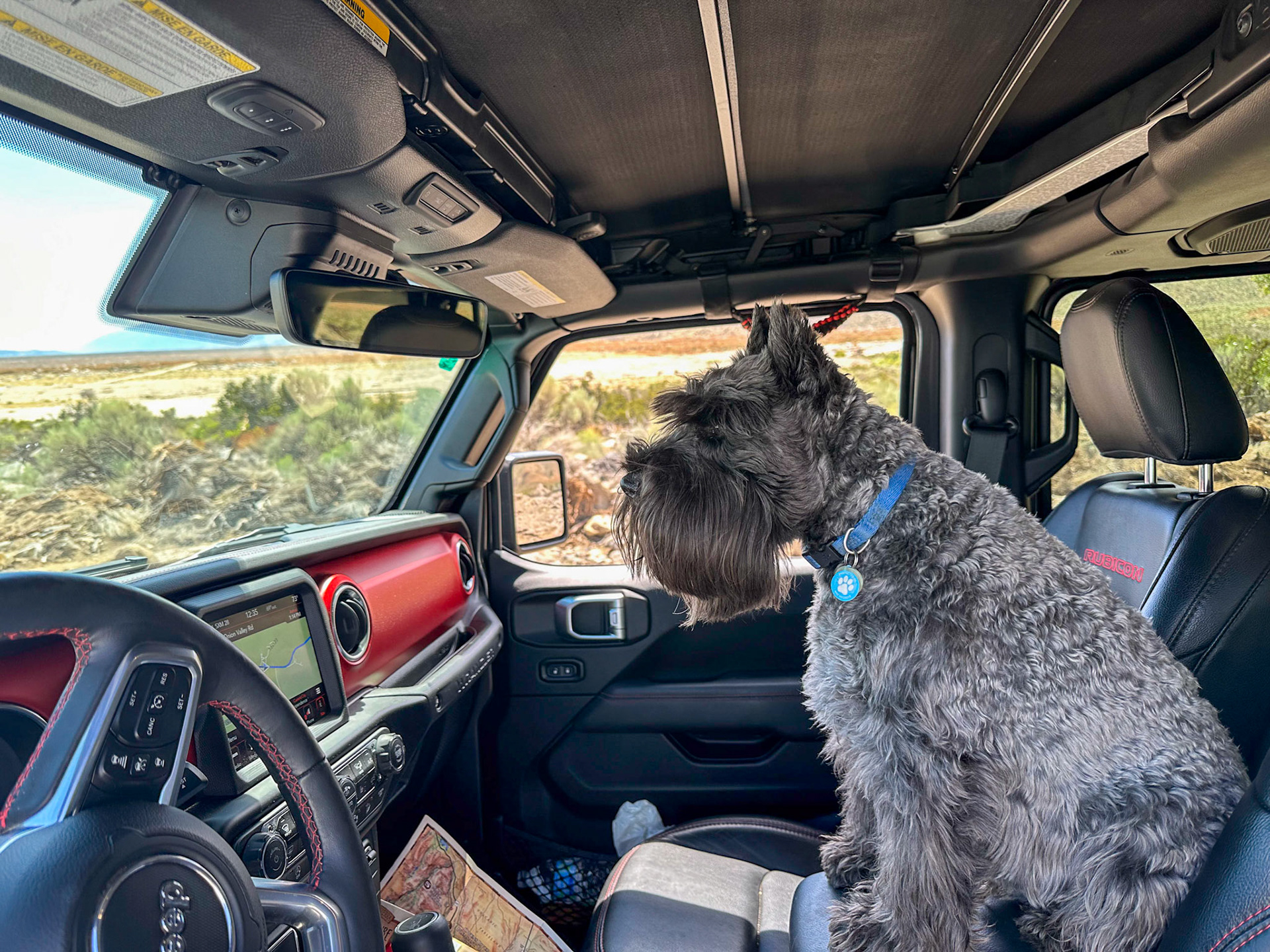 Tripp is in his spot ready to go
