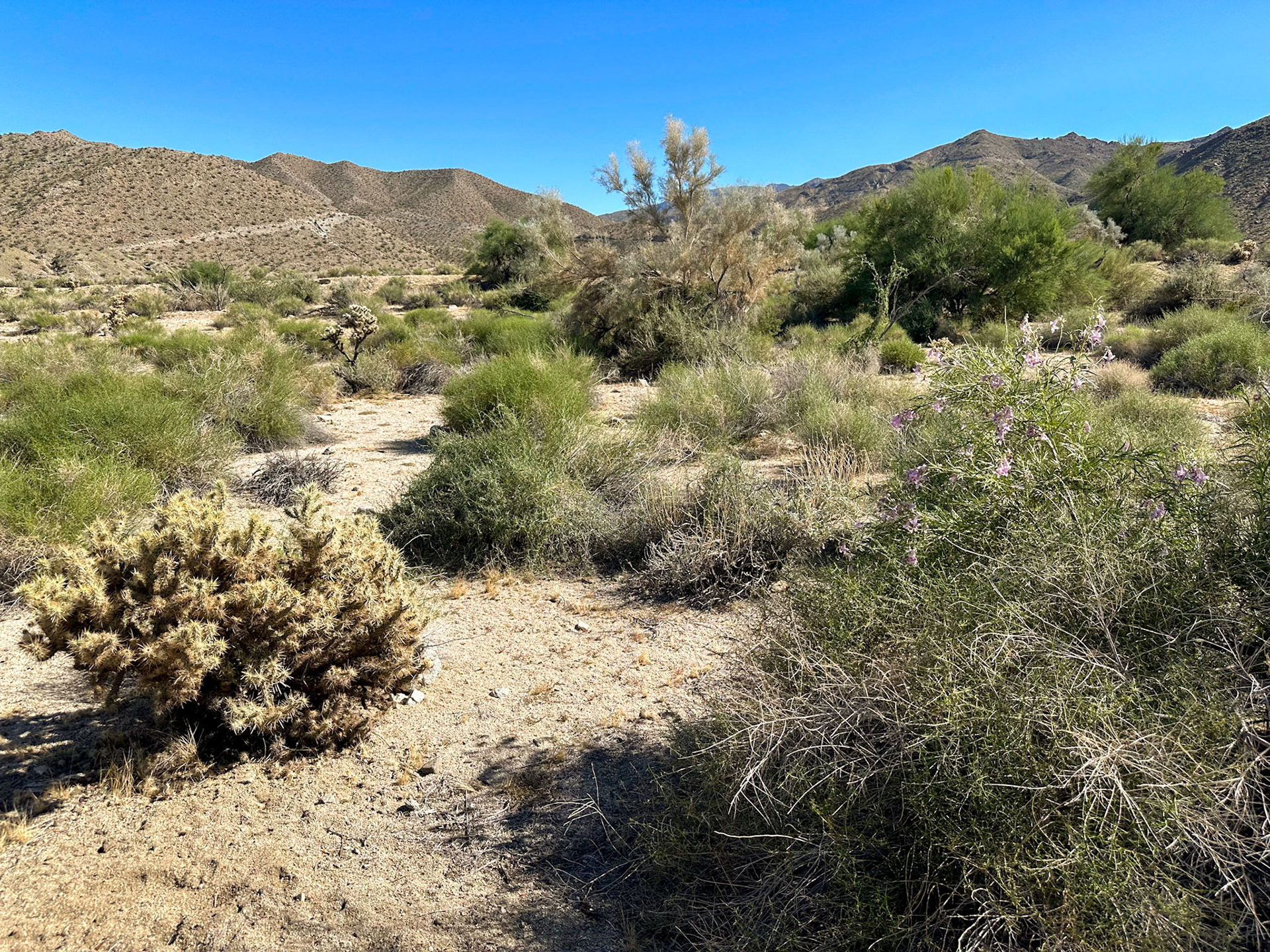 Palm Springs is in the desert