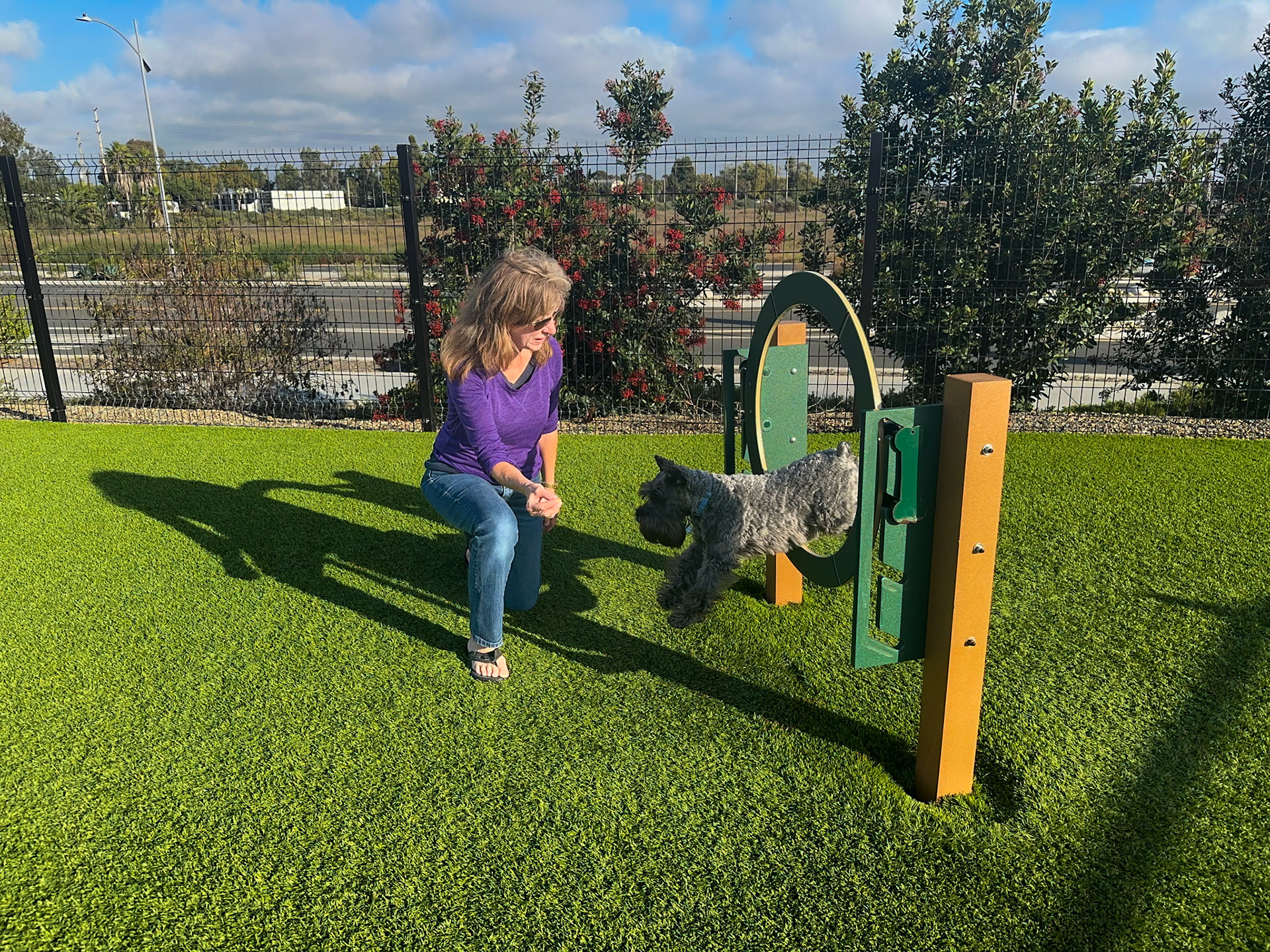 Dog tricks at the dog park