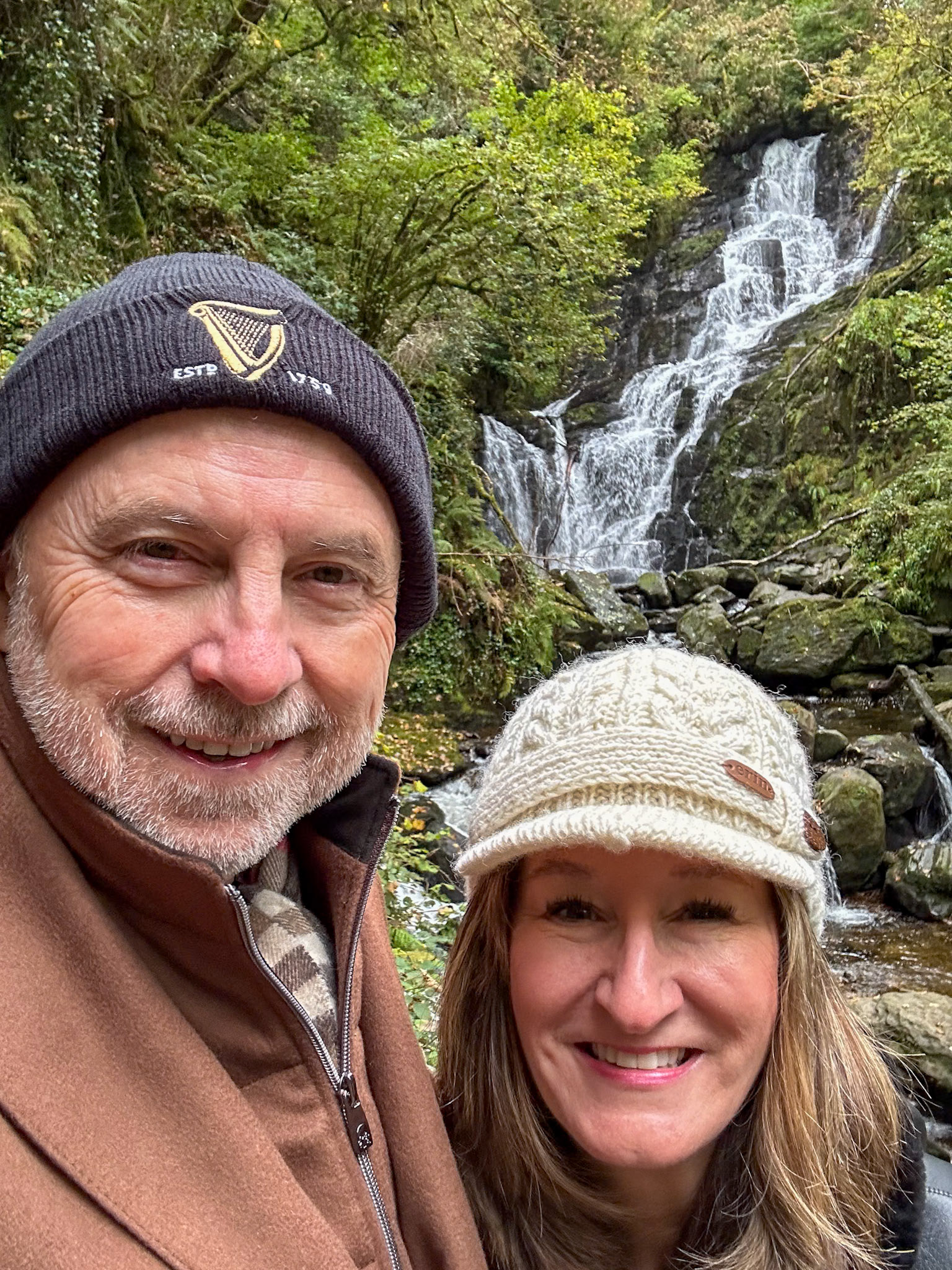 Torc Waterfall in the NP