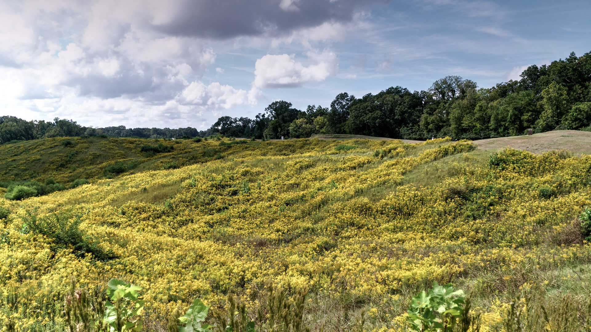 Vicksburg Civil War Battlefield