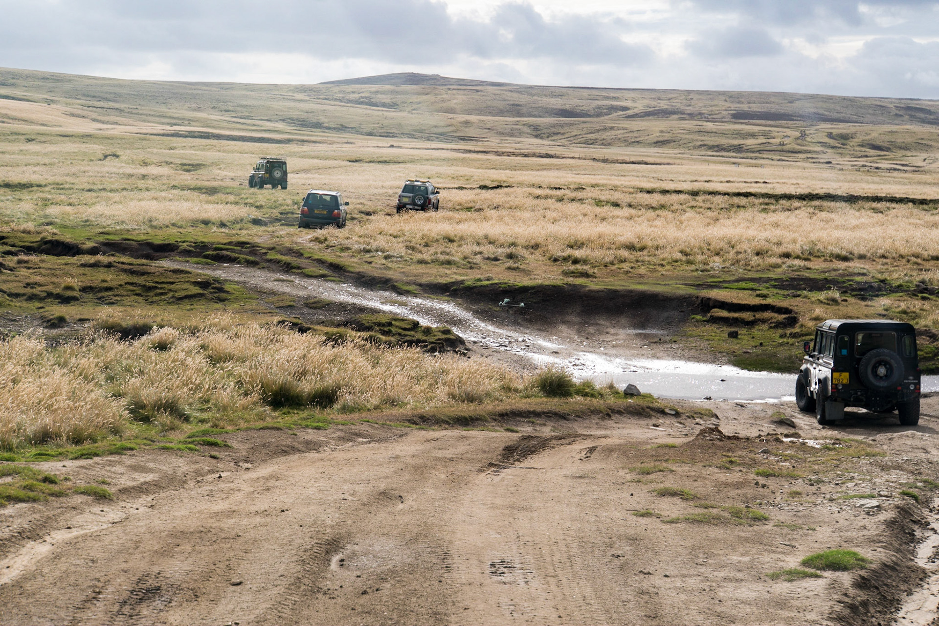 2 hour 4WD across a peat bog to see penguins