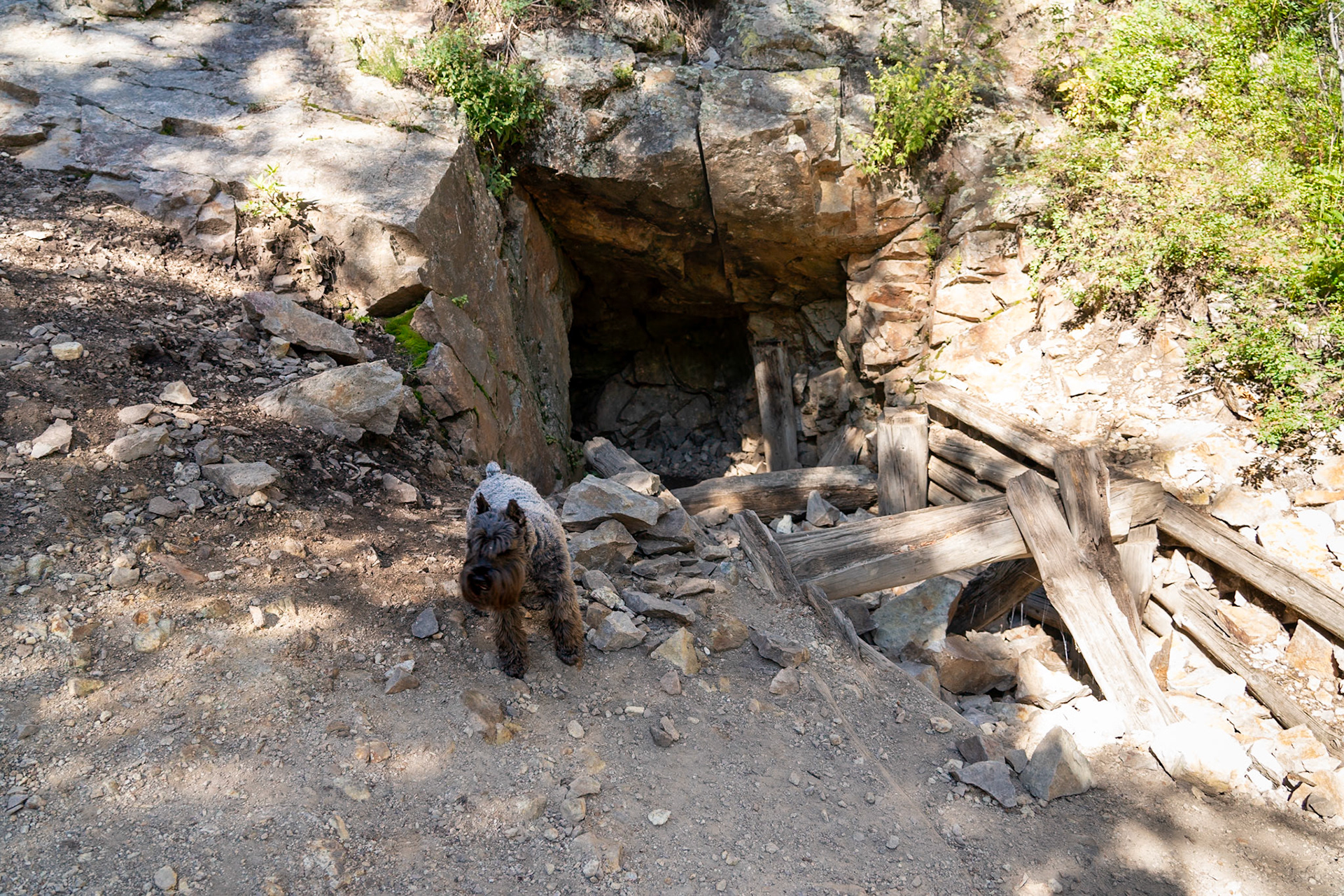 Tripp found a collapsed mining tunnel