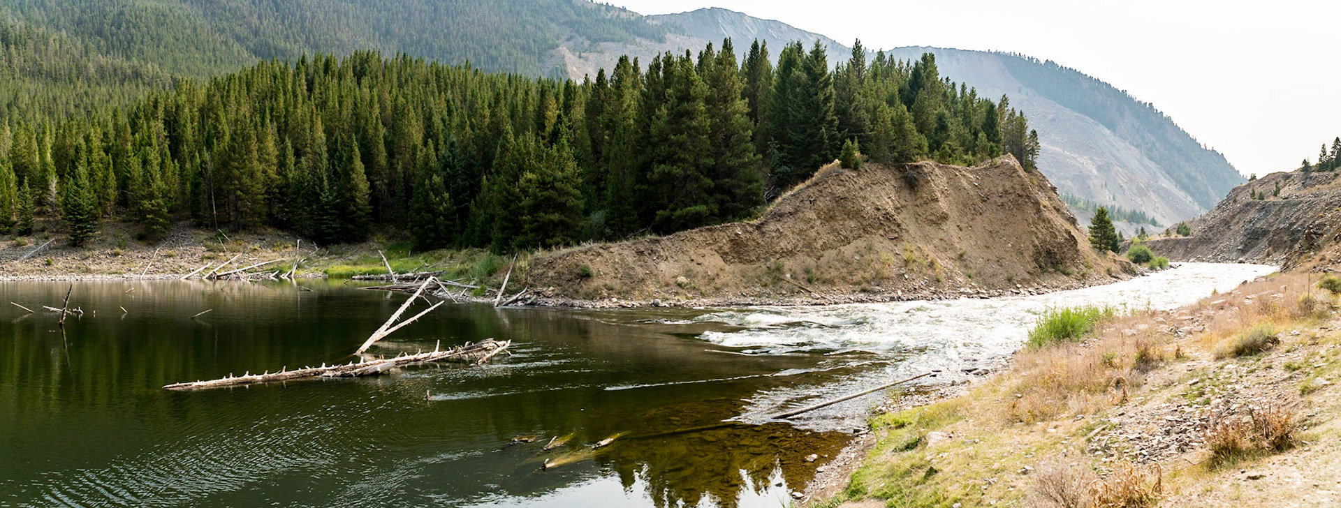 Quake Lake meets the Madison River