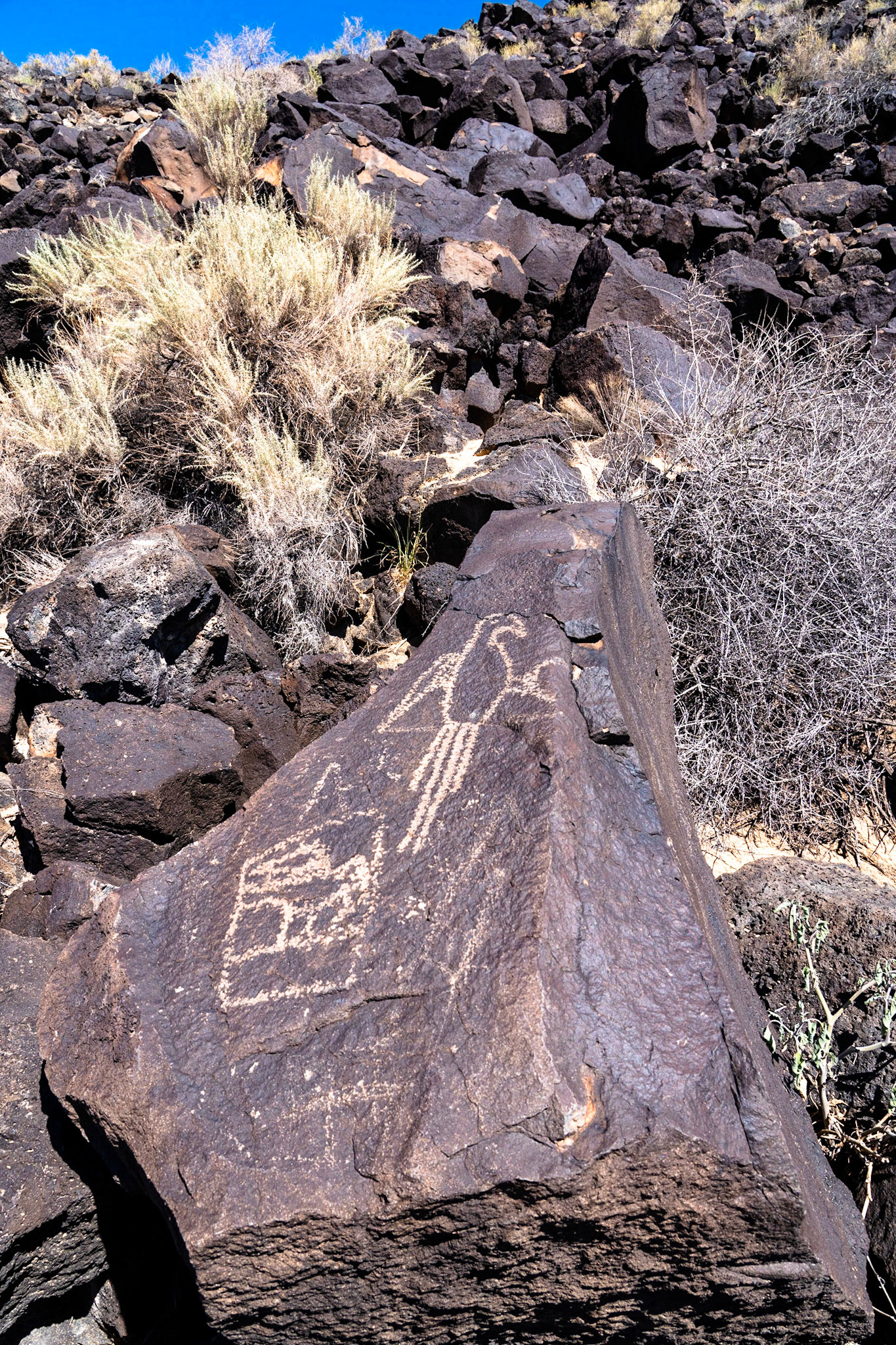 A hike to see the petroglyphs at the National Monument