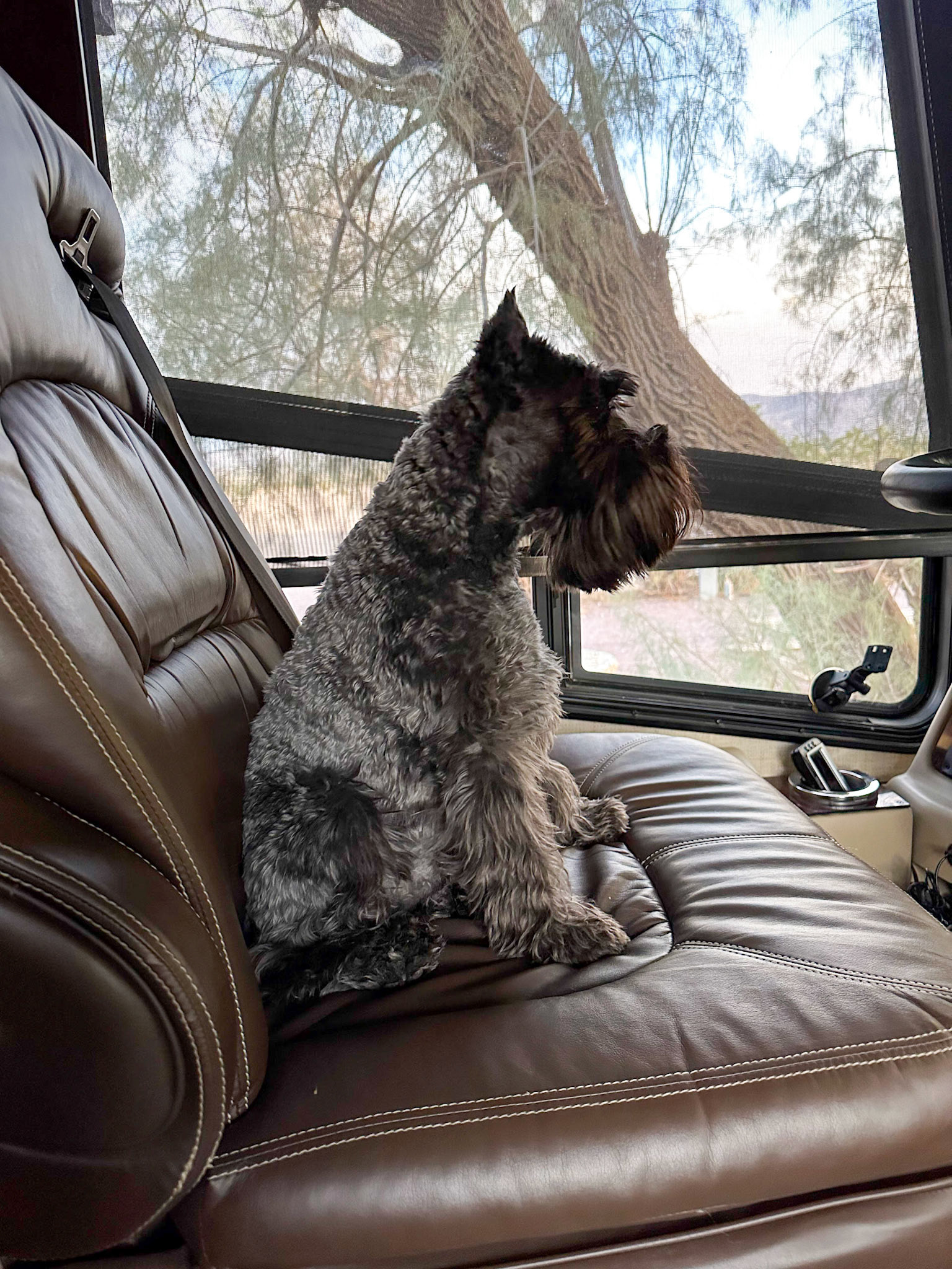 On lookout, as usual