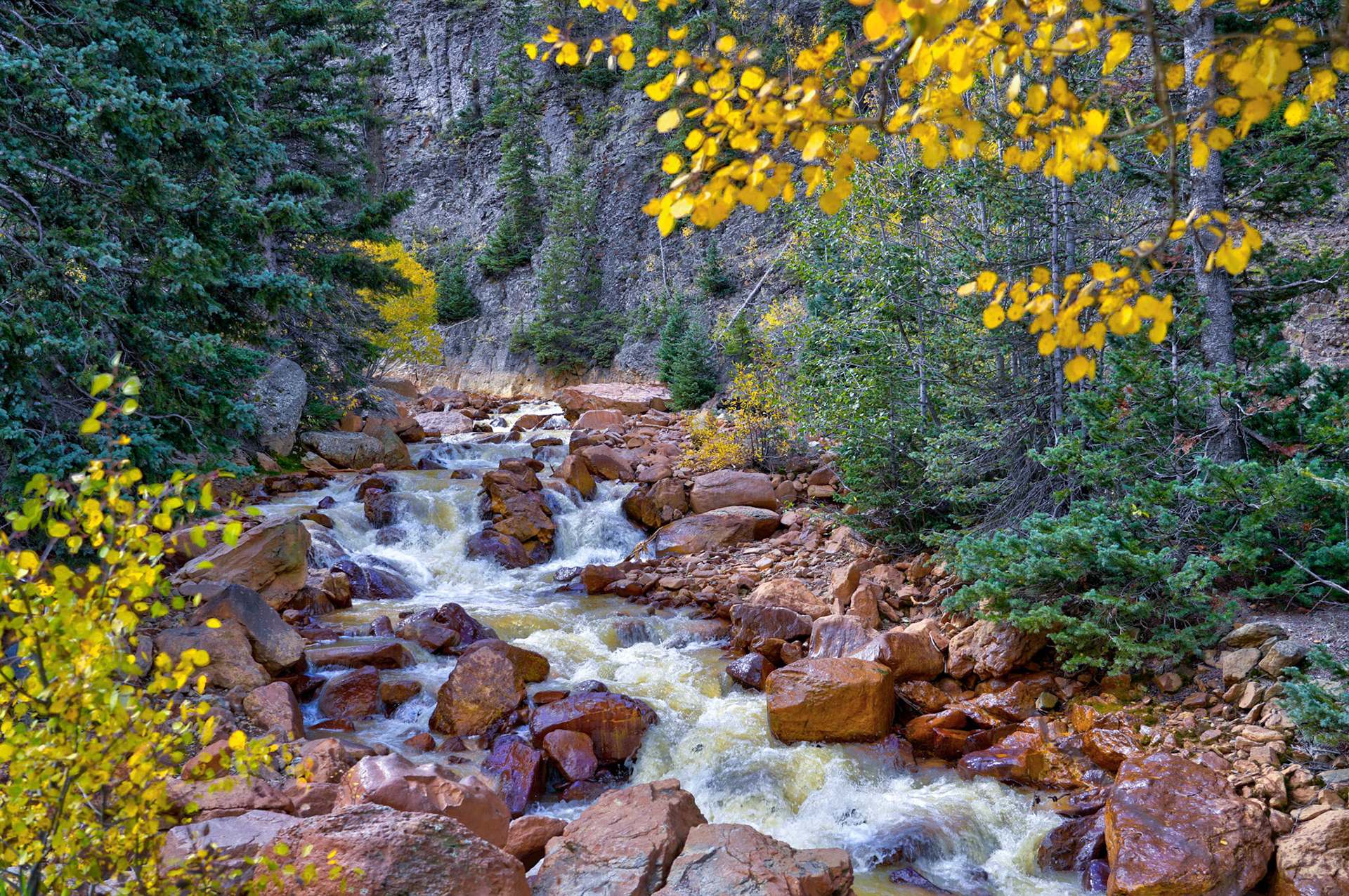 Umcompahgre River