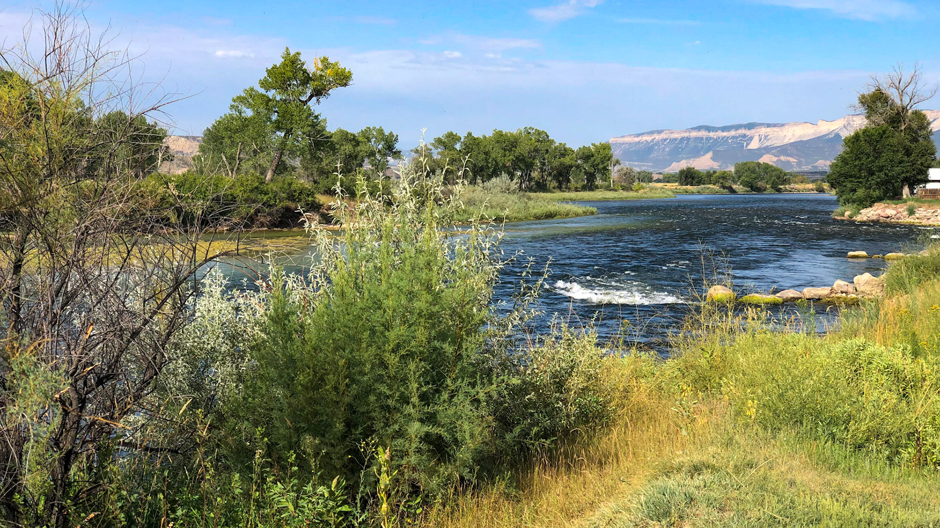 View from our site on the Colorado River