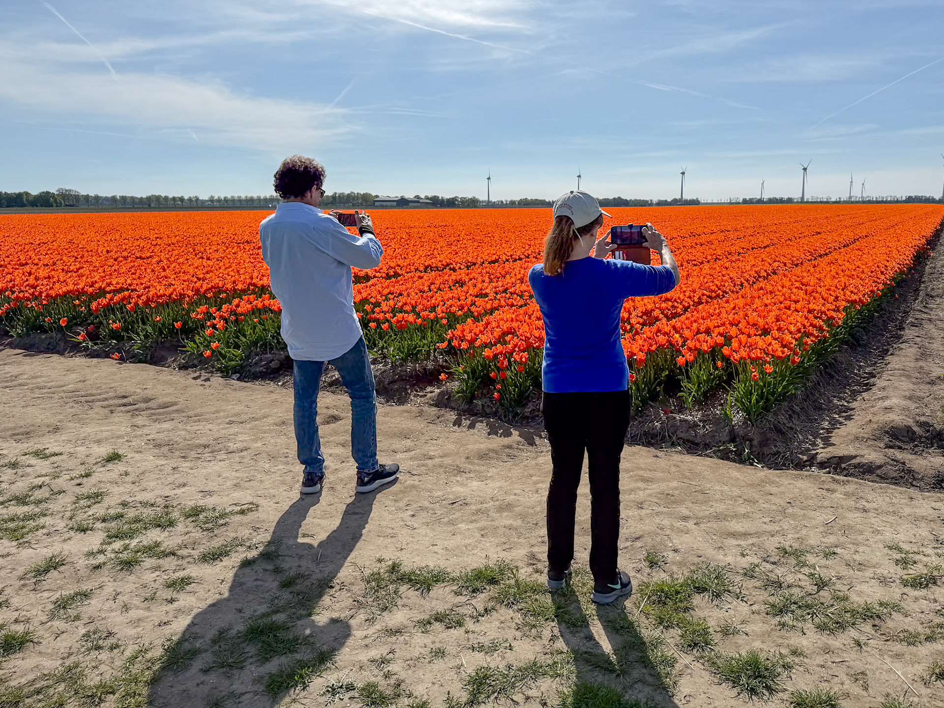 Tulip tour with Gerrit,  our tour guide