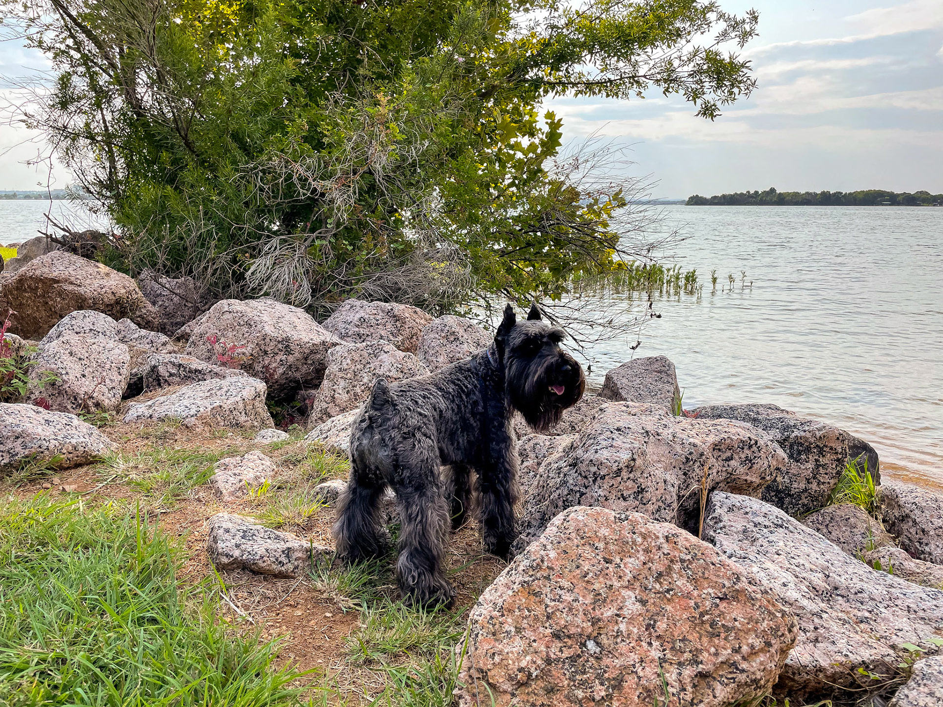 Lake LBJ near Marble Falls