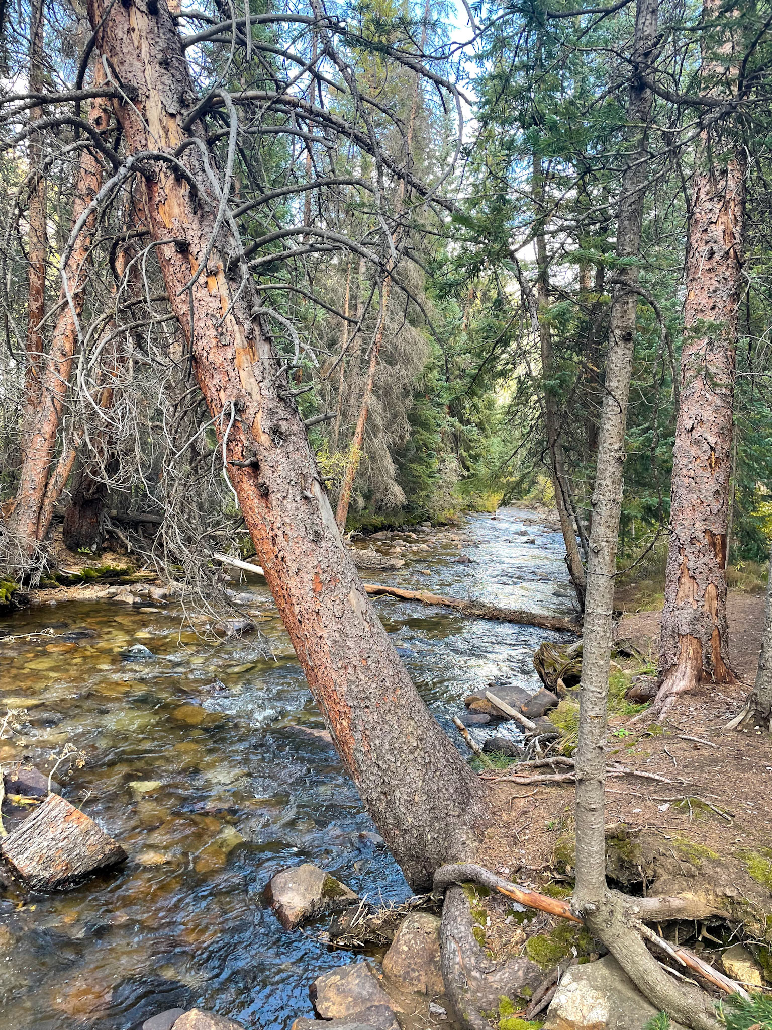 Near St Elmo Ghost Town