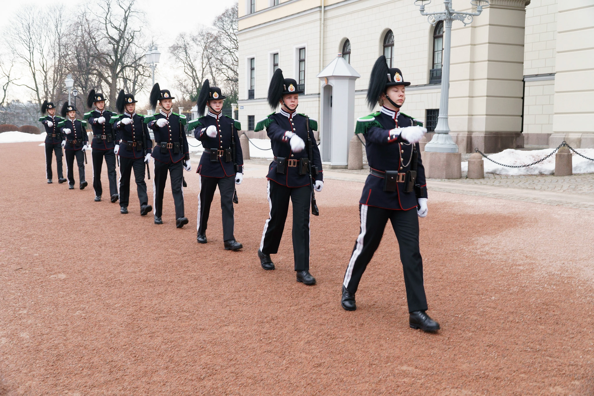 Changing of the Guard at the Palace
