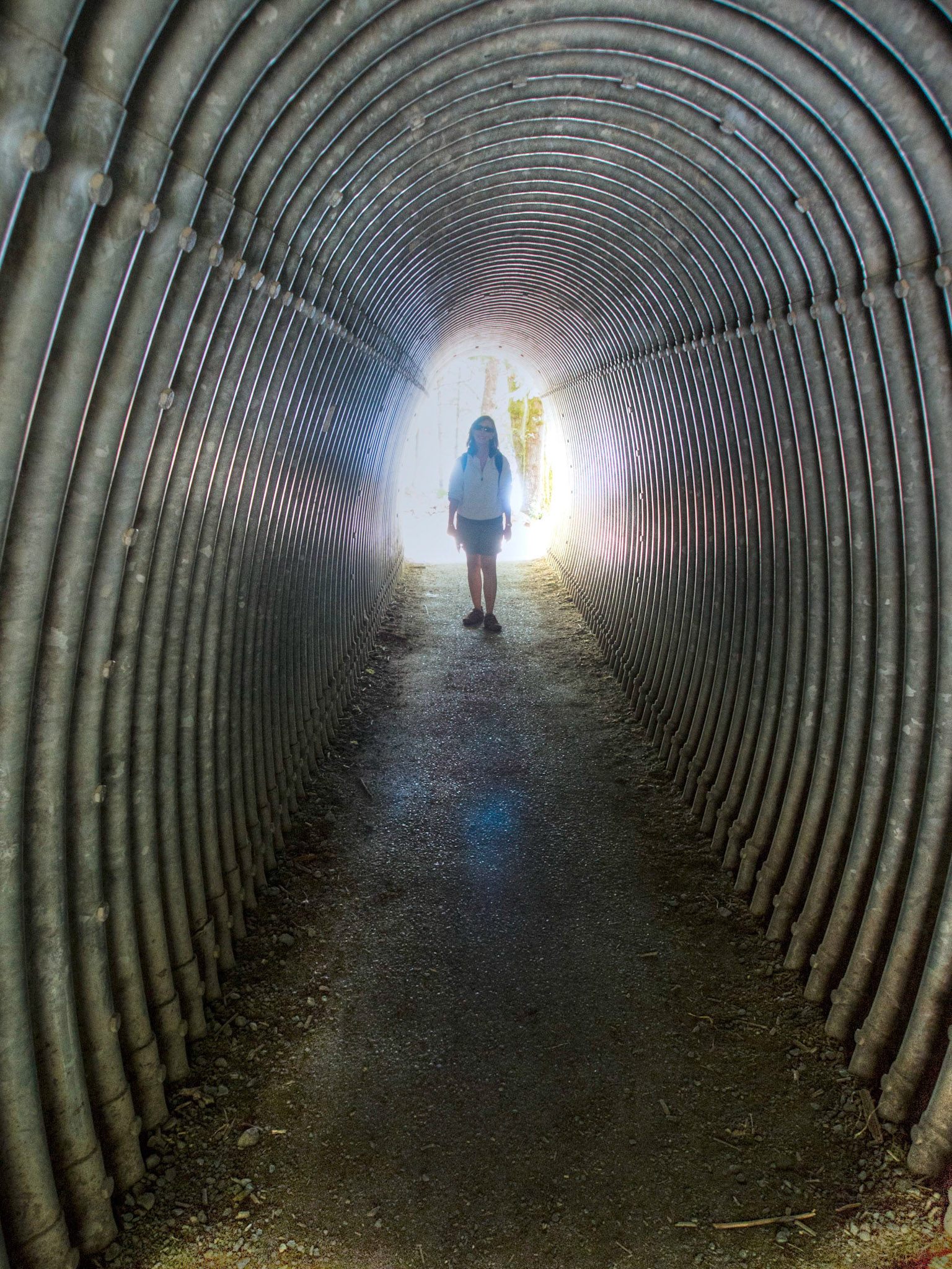 People tunnel to Marymere Falls