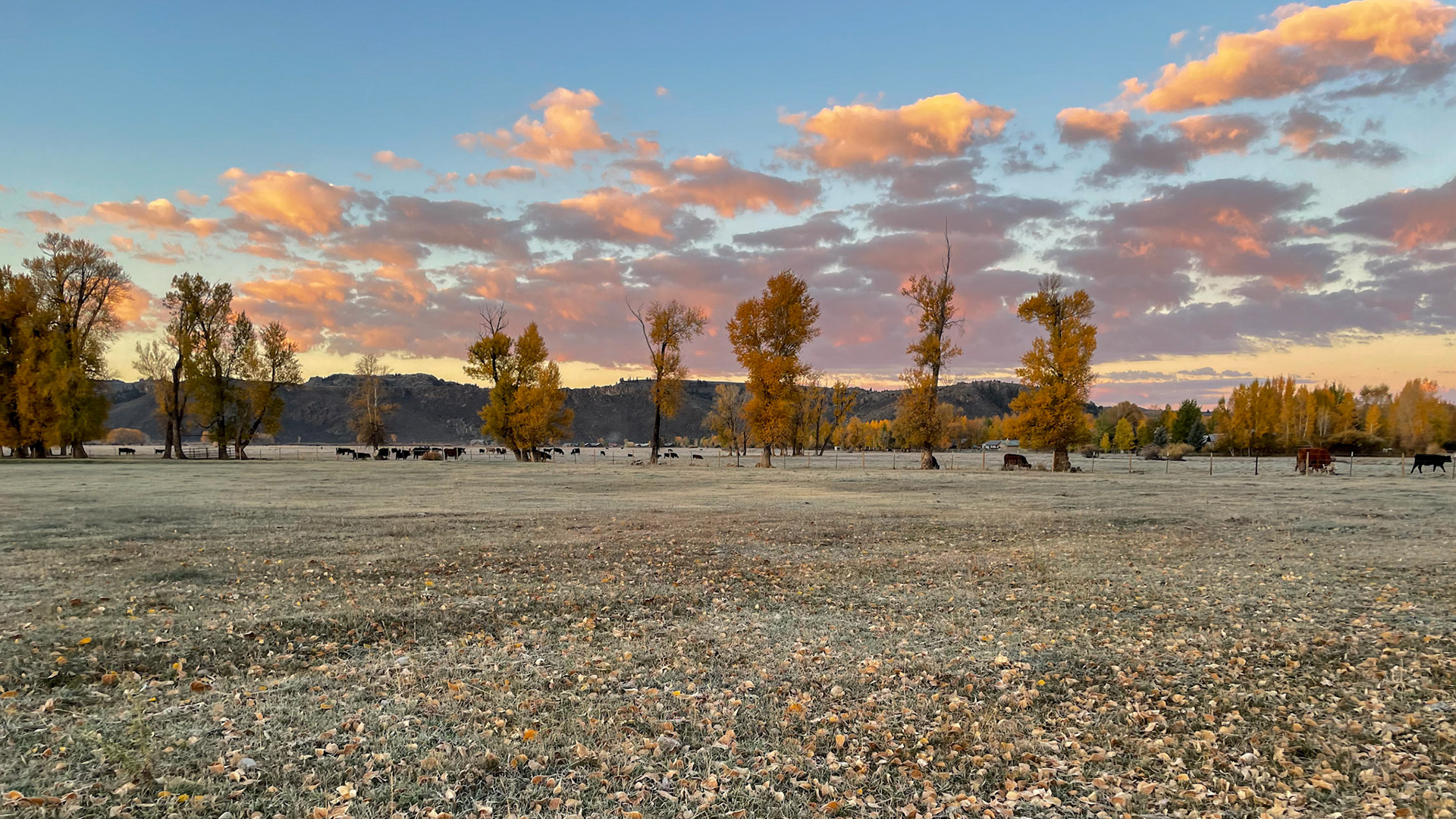 Sunrise at our Gunnison campground