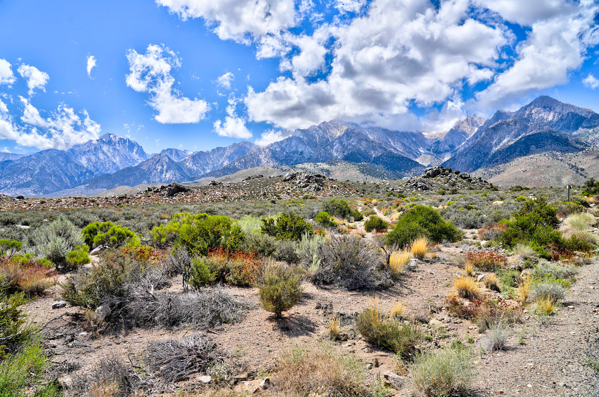 Mt Whitney in the distance
