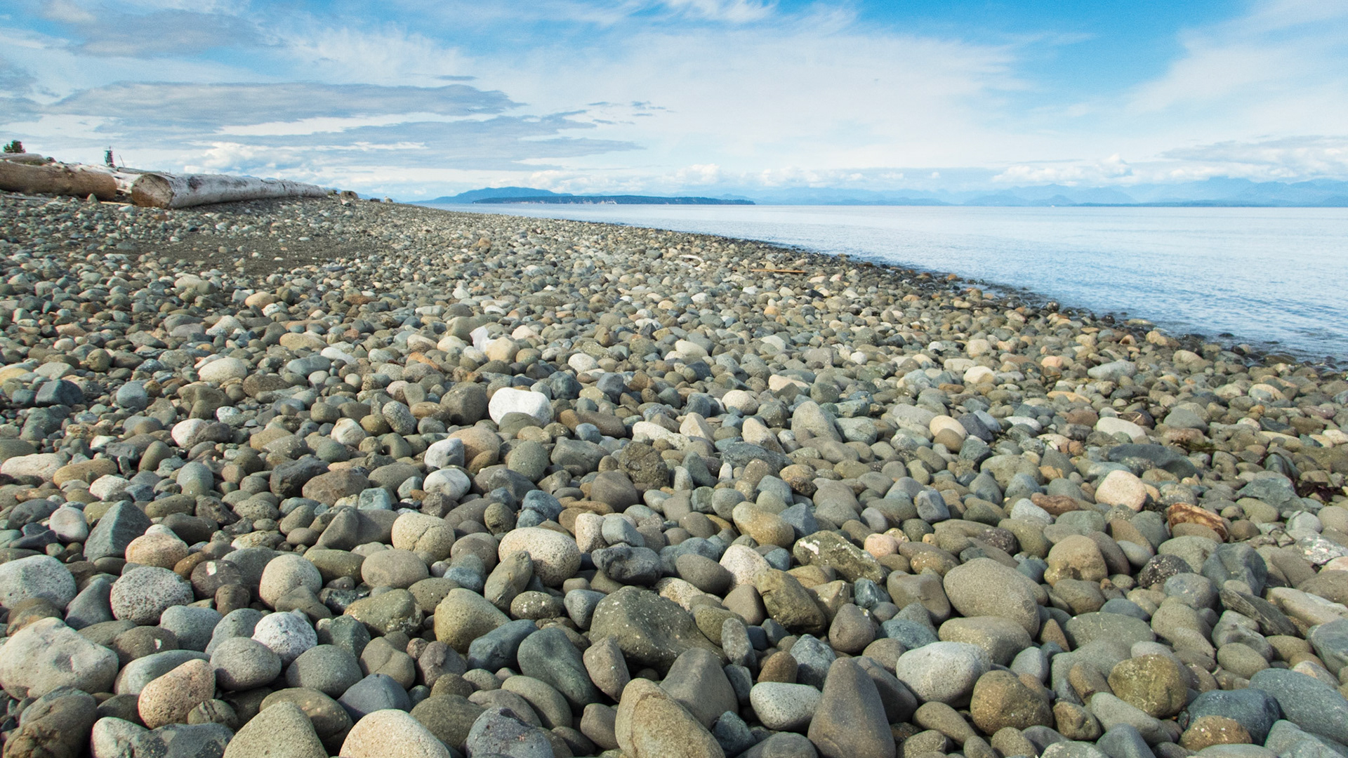 Strait of Georgia at low tide