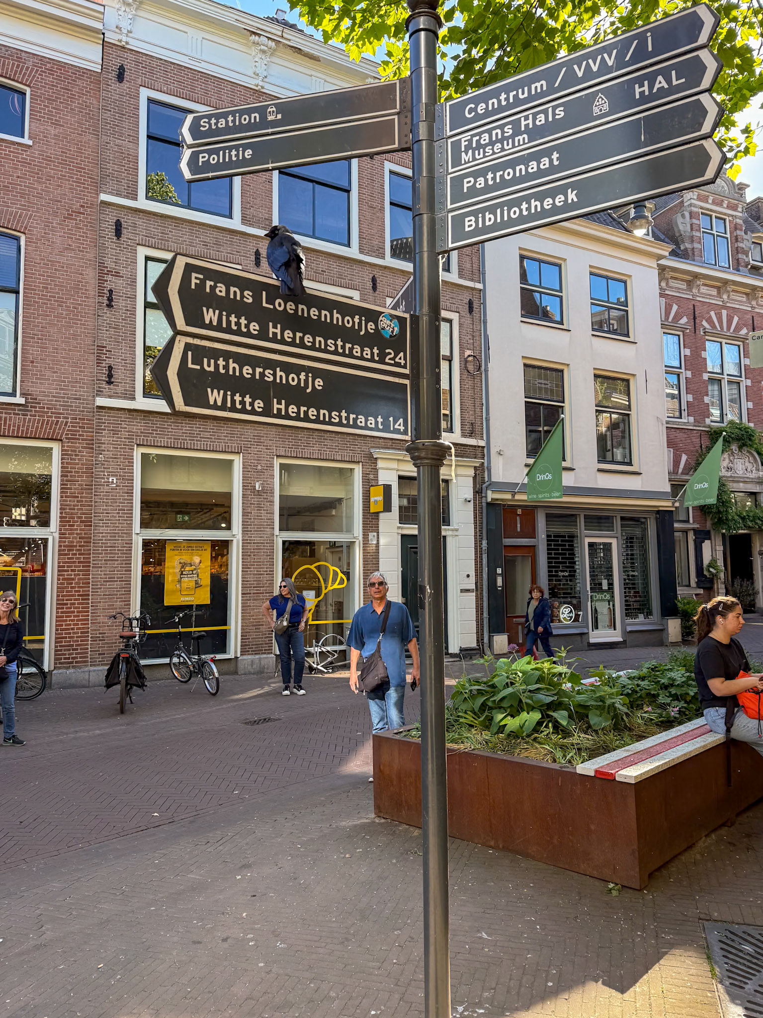 Streets of Haarlem