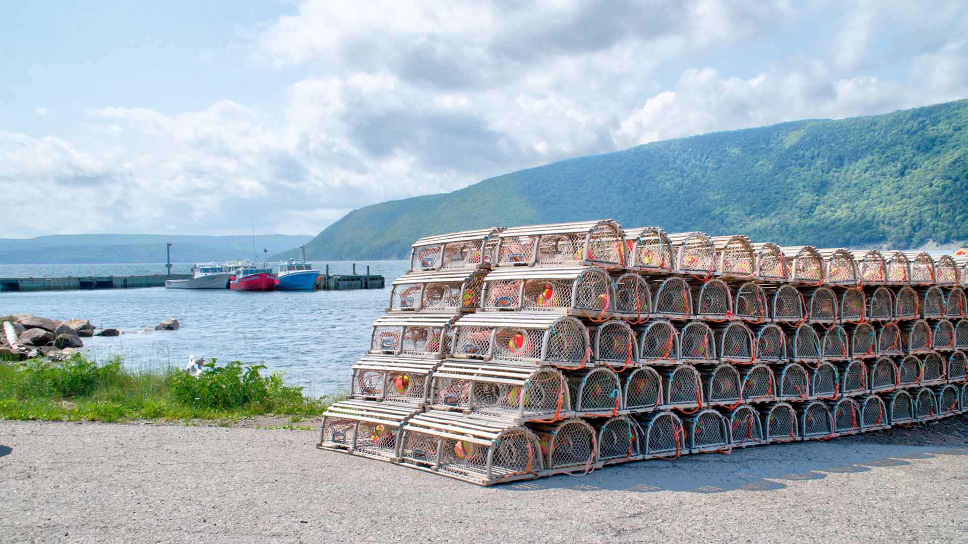 Lobster traps in Englishtown