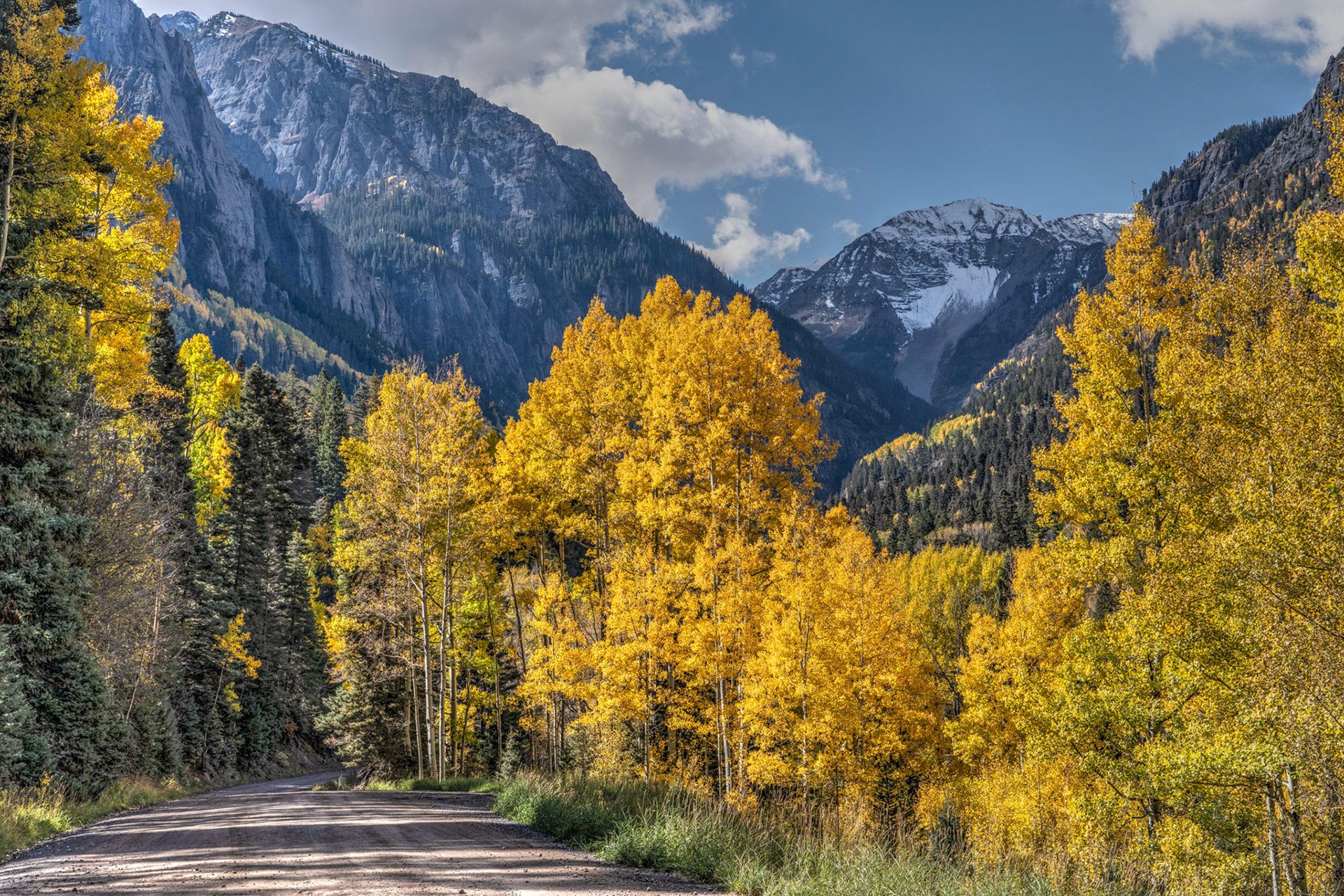 Aspens changing near Ouray Colorado