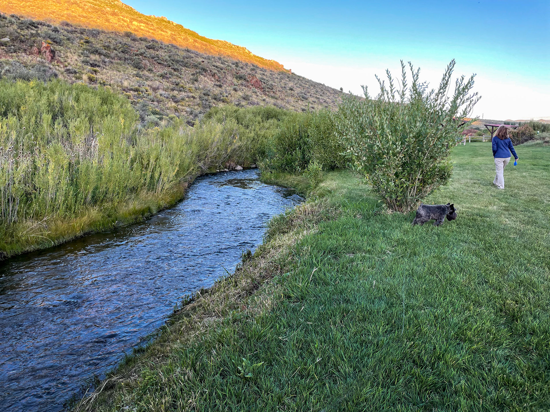 Our morning walk along the creek