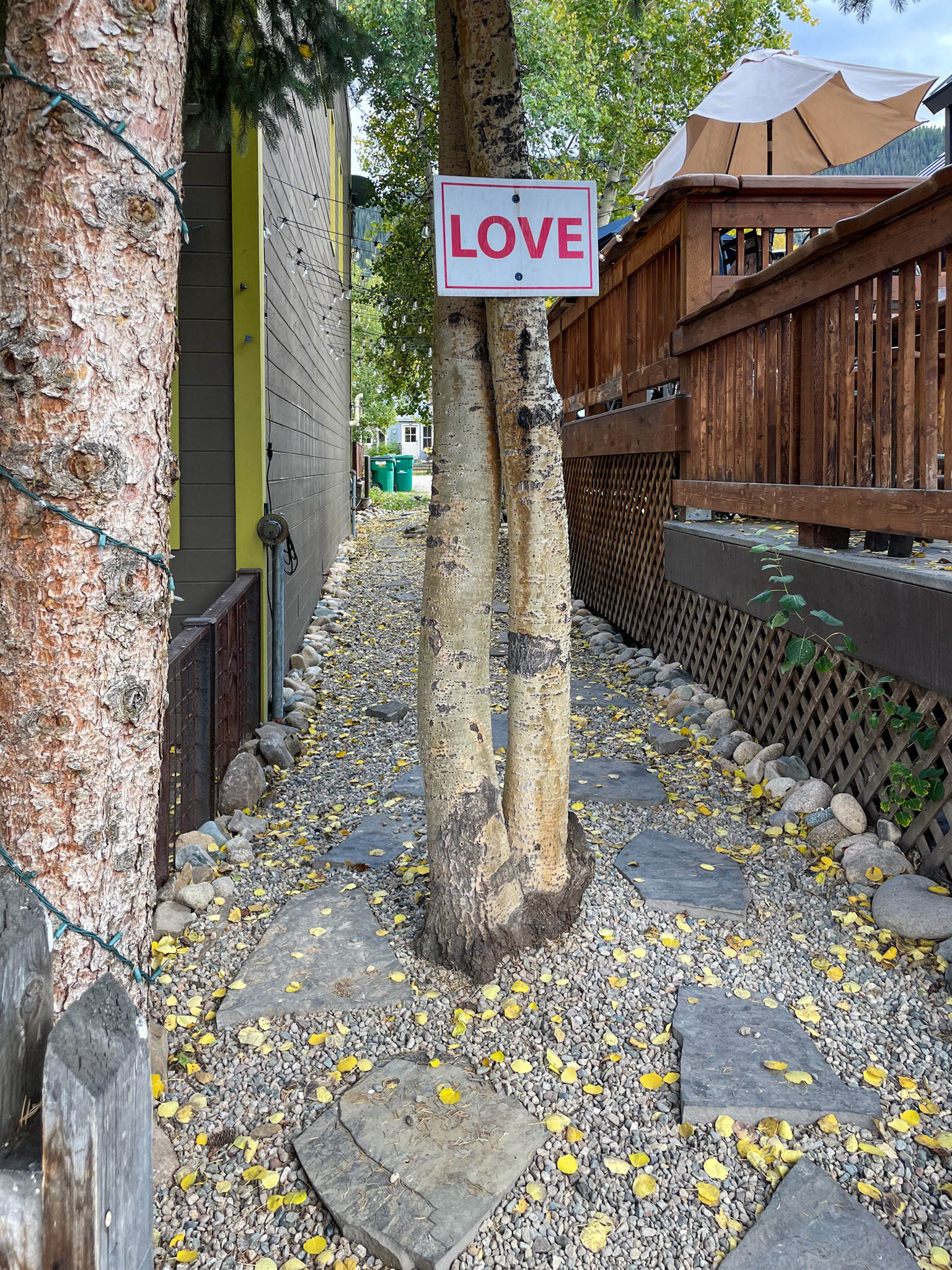 Alley in Crested Butte