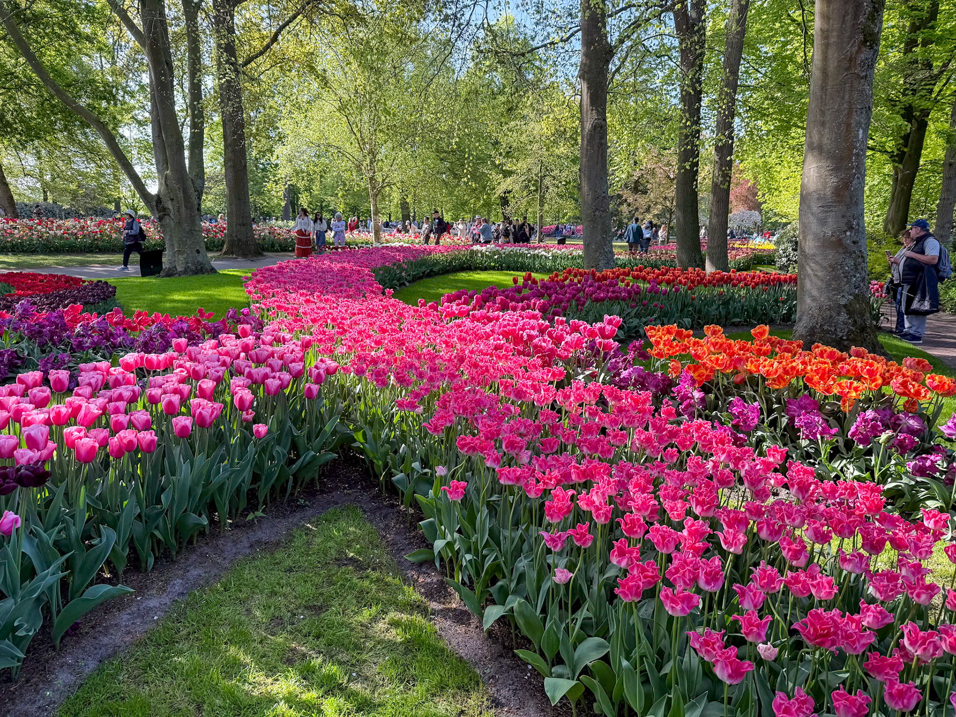 Keukenhof Gardens