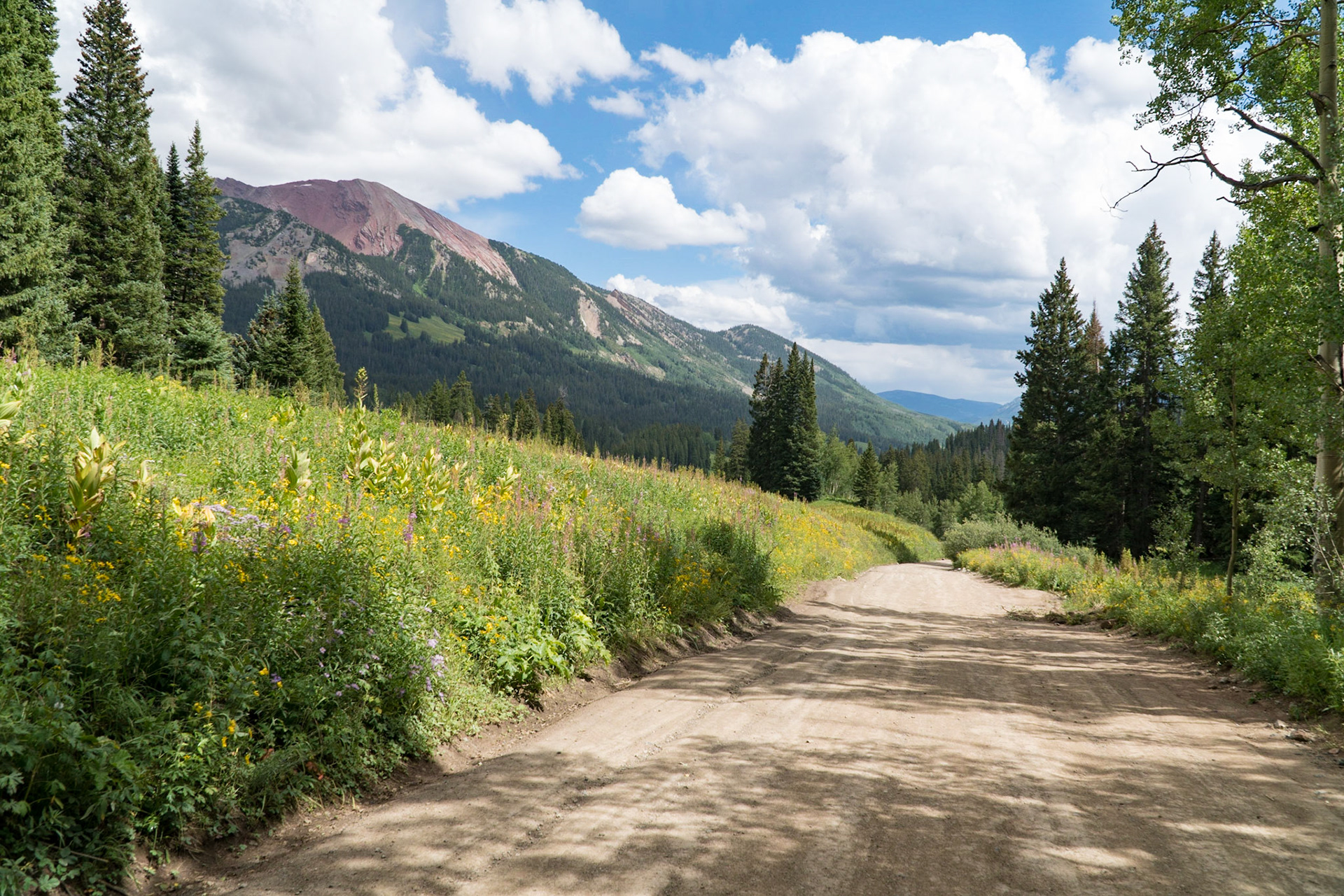 Gothic Road from Schofield Pass