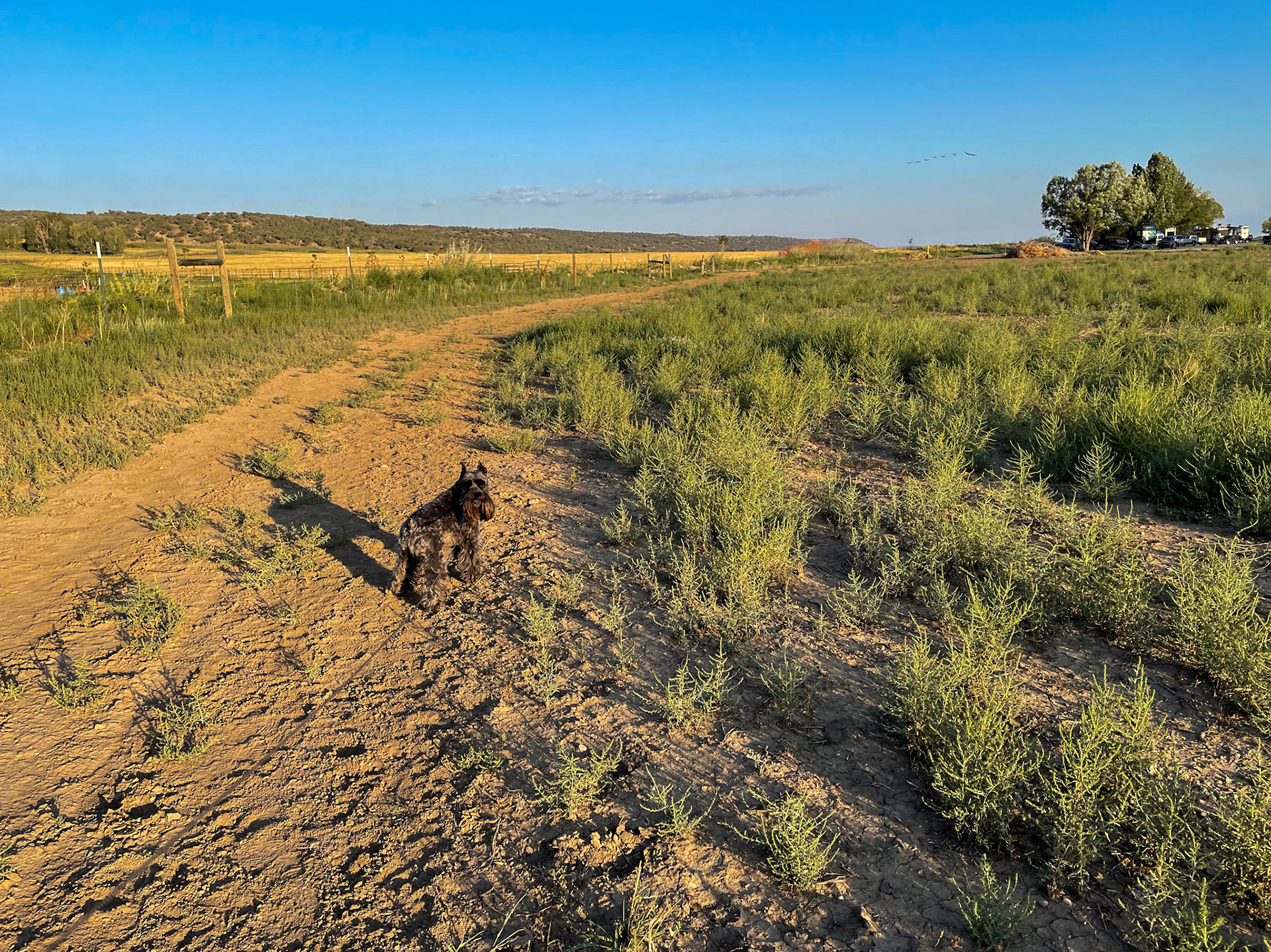 Early morning walk near the RV