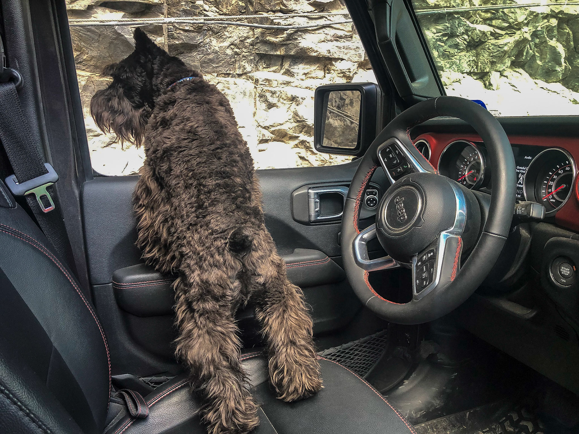 Tripp enjoying our off road excursions
