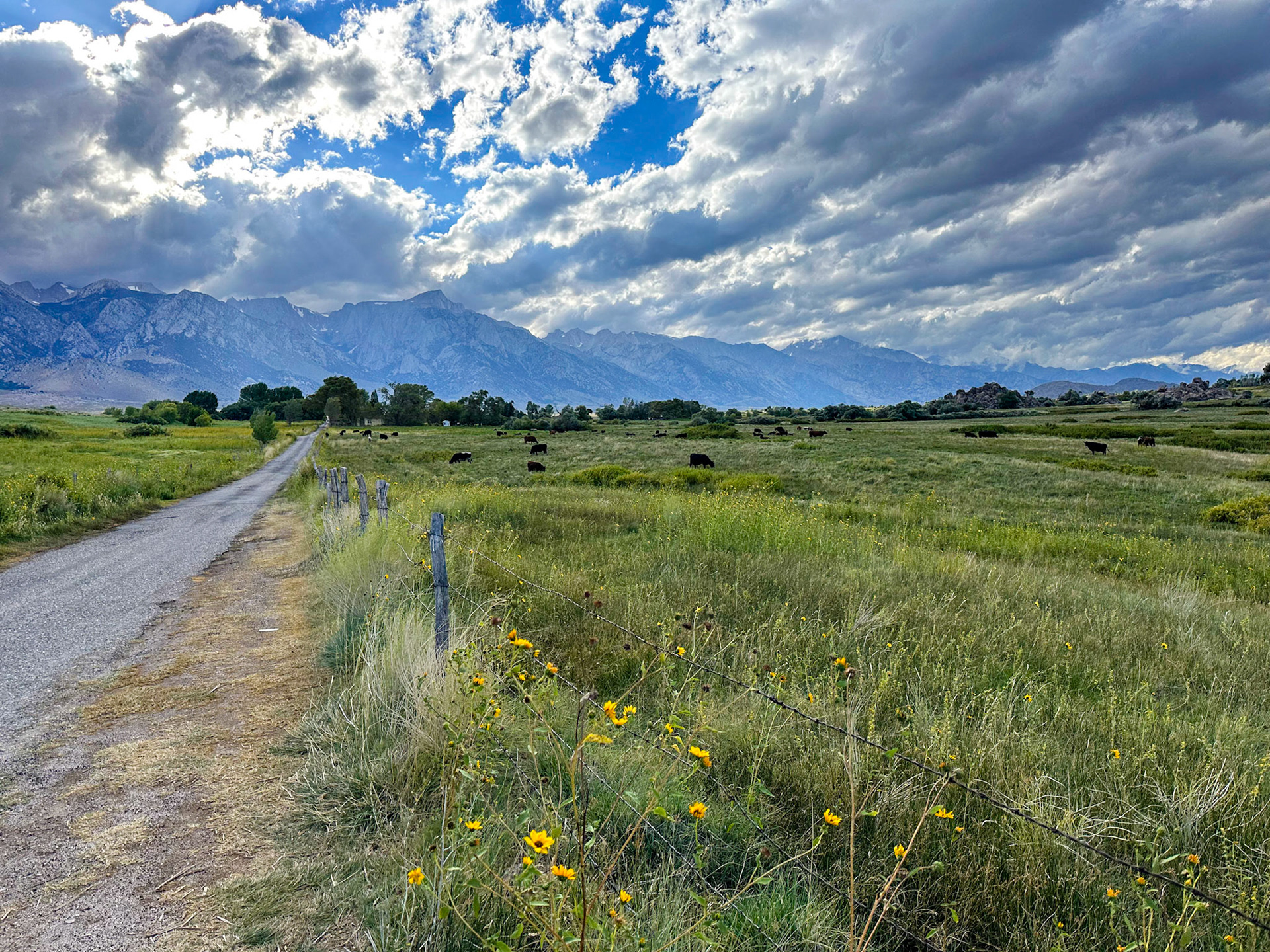 Eastern Sierra Nevada Range