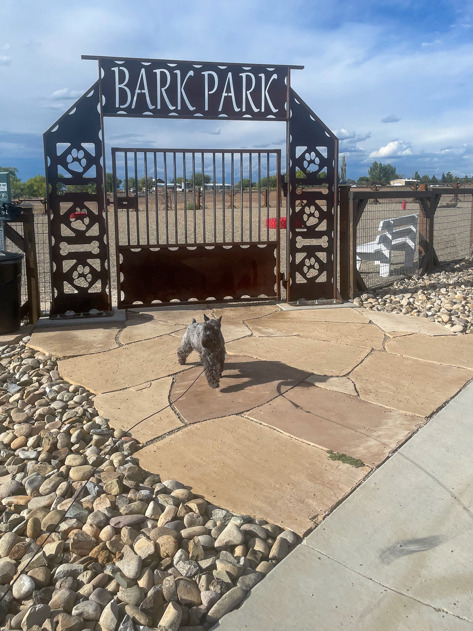 Tripp's favorite activity