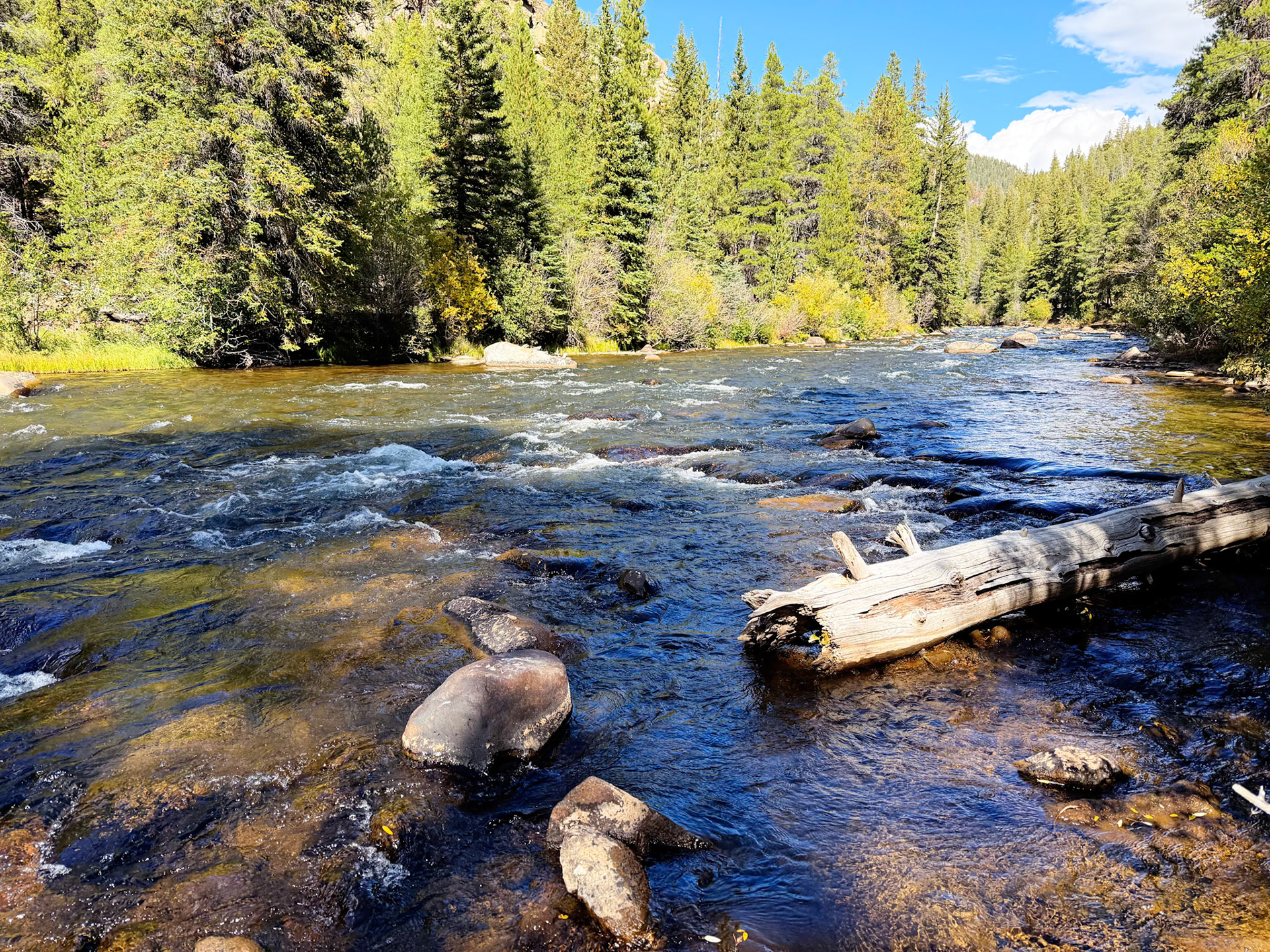 Along the Taylor River near Gunnison