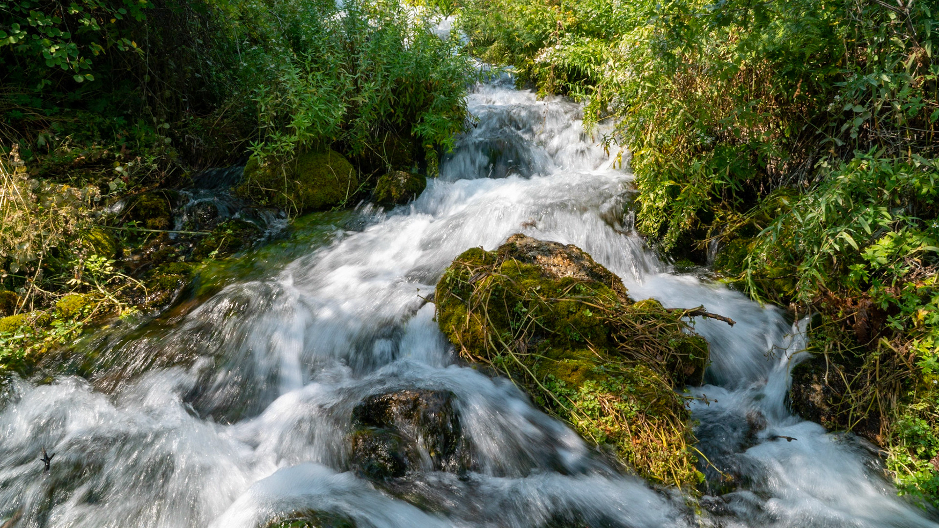 Cascade Springs feed the river