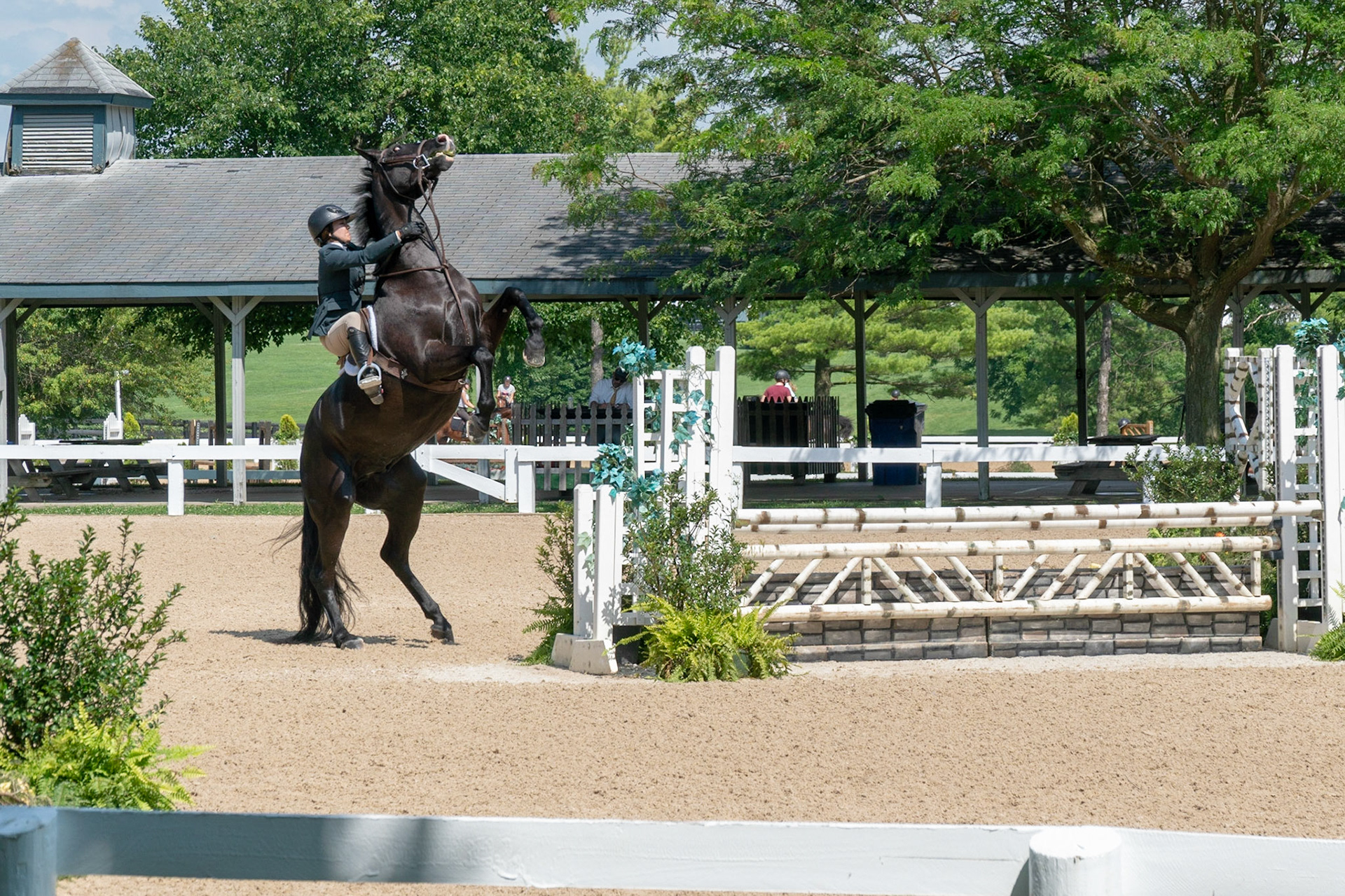Jumper competition at the Horse Park