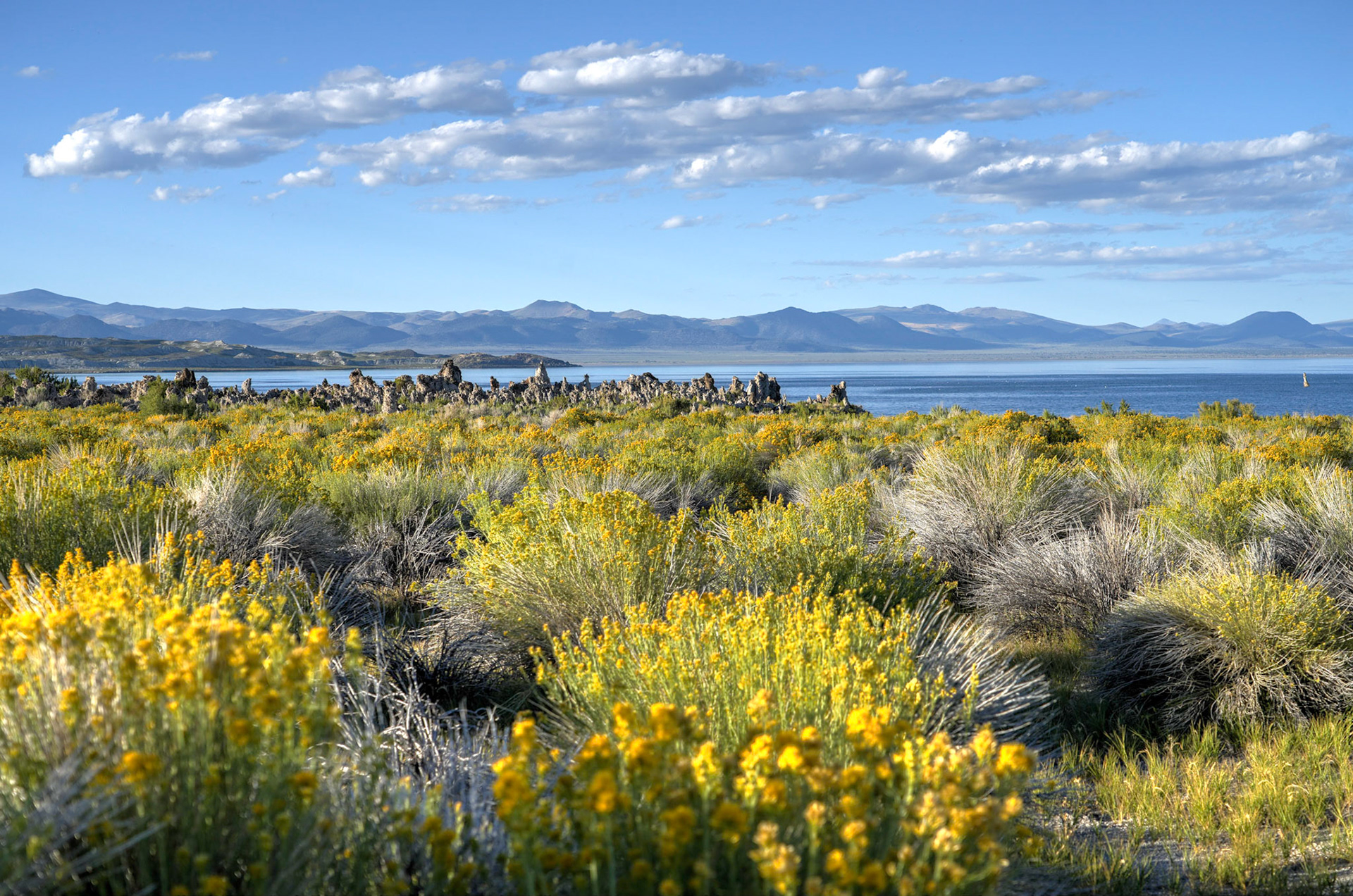 Tufas at Mono Lake