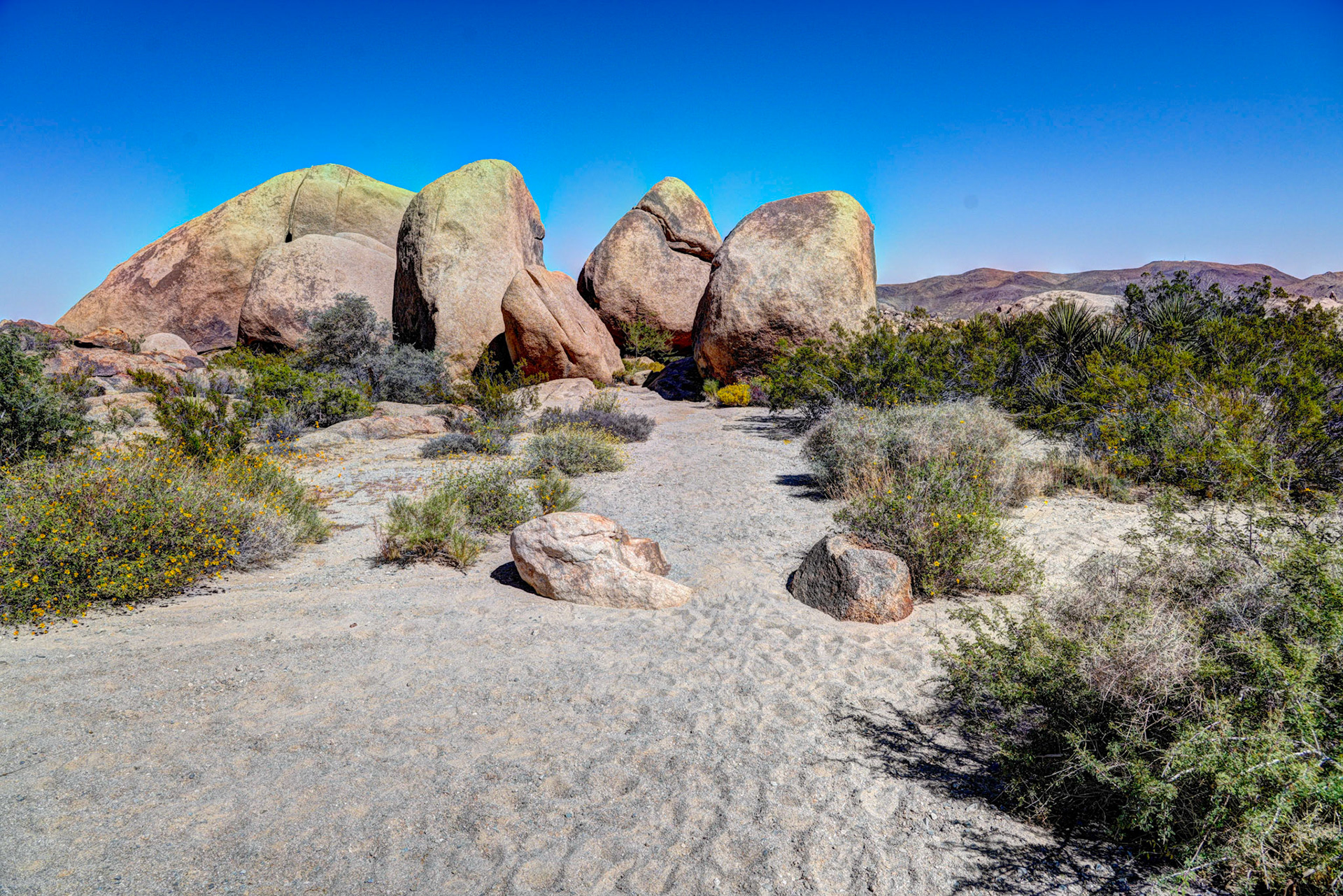 Lunch stop in Joshua Tree NP
