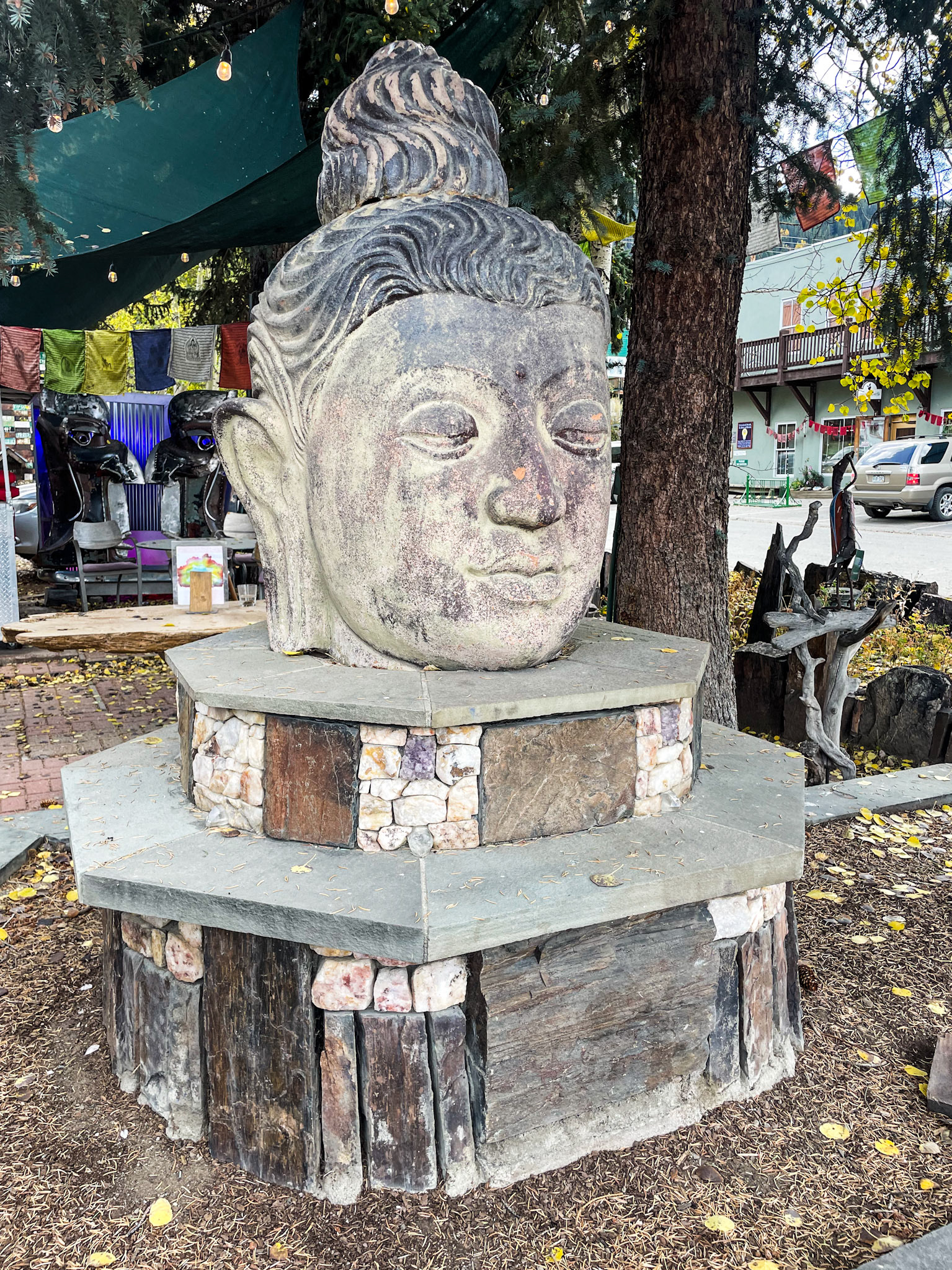 Zen in Crested Butte