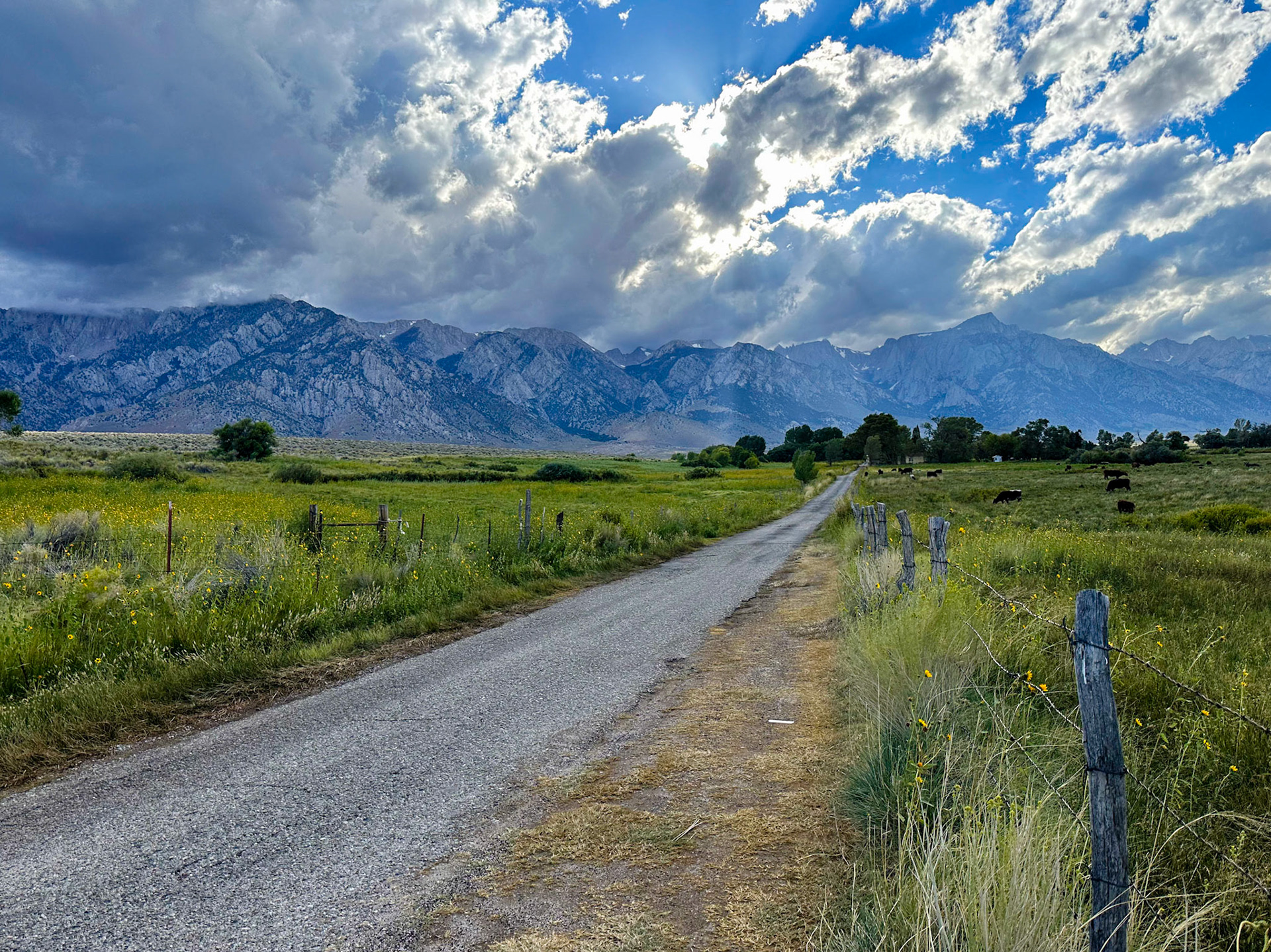 Driving the backroads