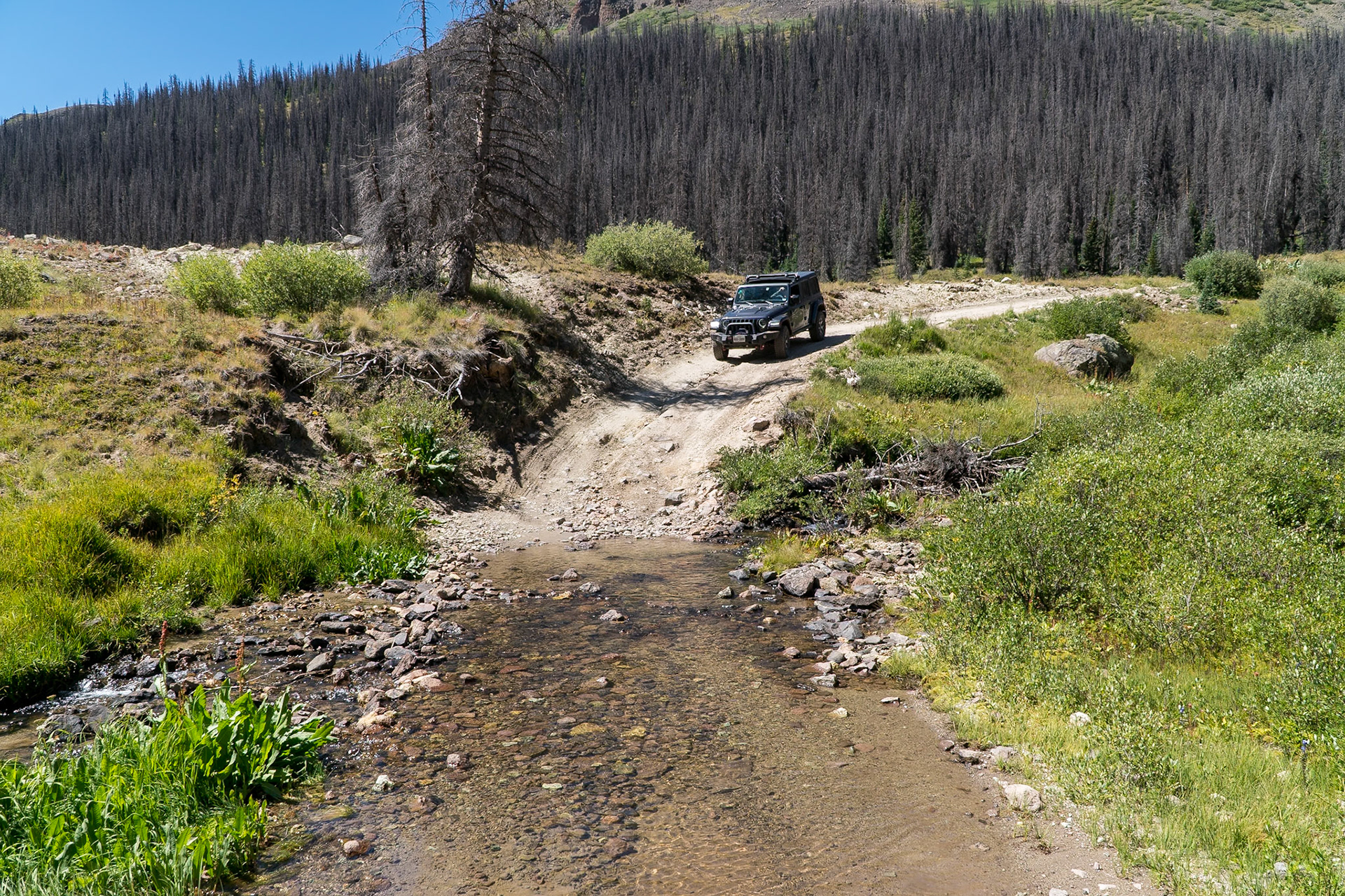 Lots of streams to cross