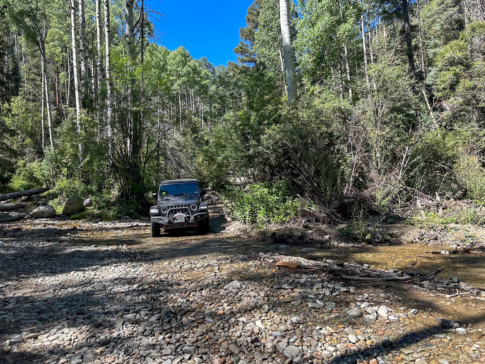 Fording Pioneer Creek