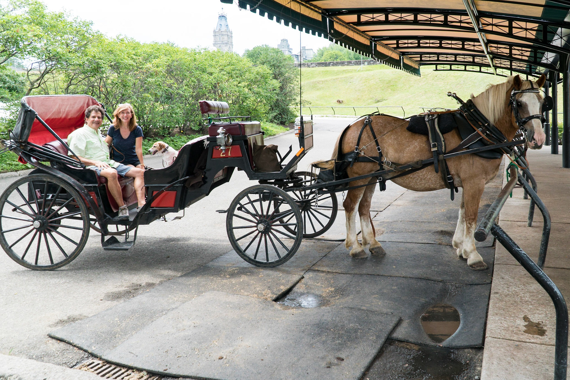 Bandit the horse and Winston the dog