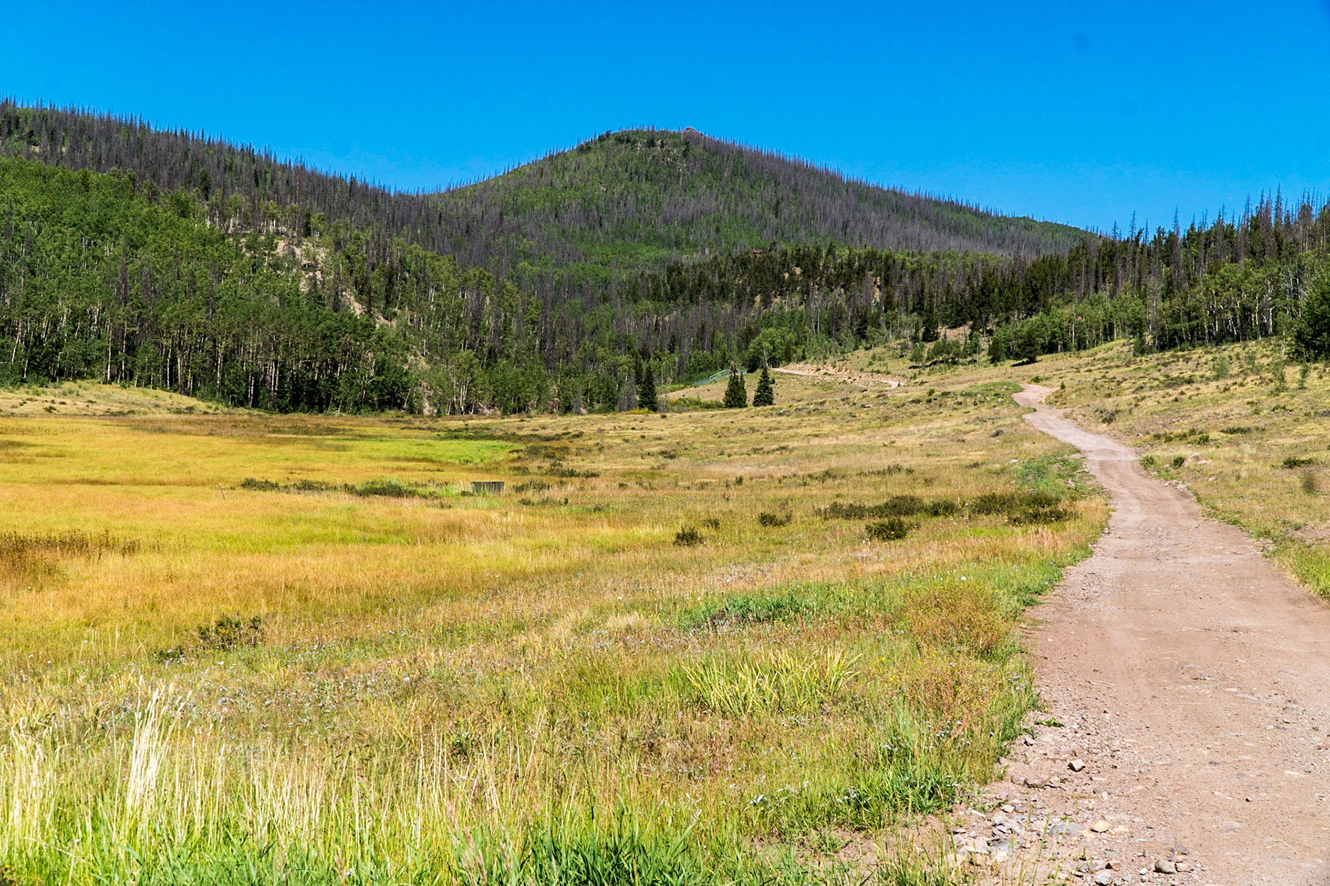 4x4 trail starts thru the meadows