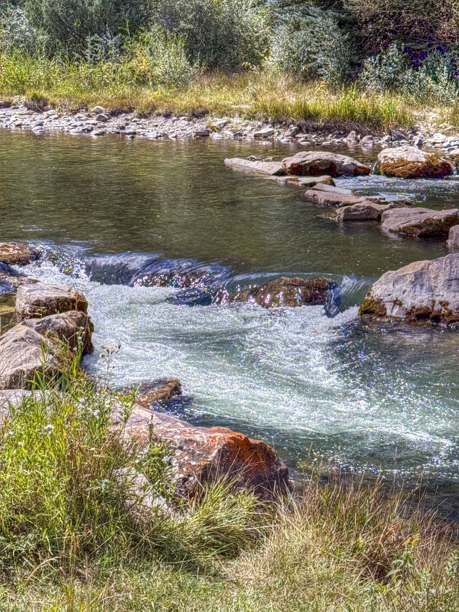 Uncompahgre River near our campsite