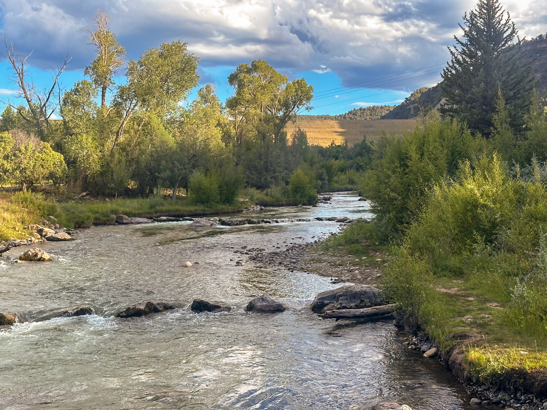Uncompahgre River behind our campsite