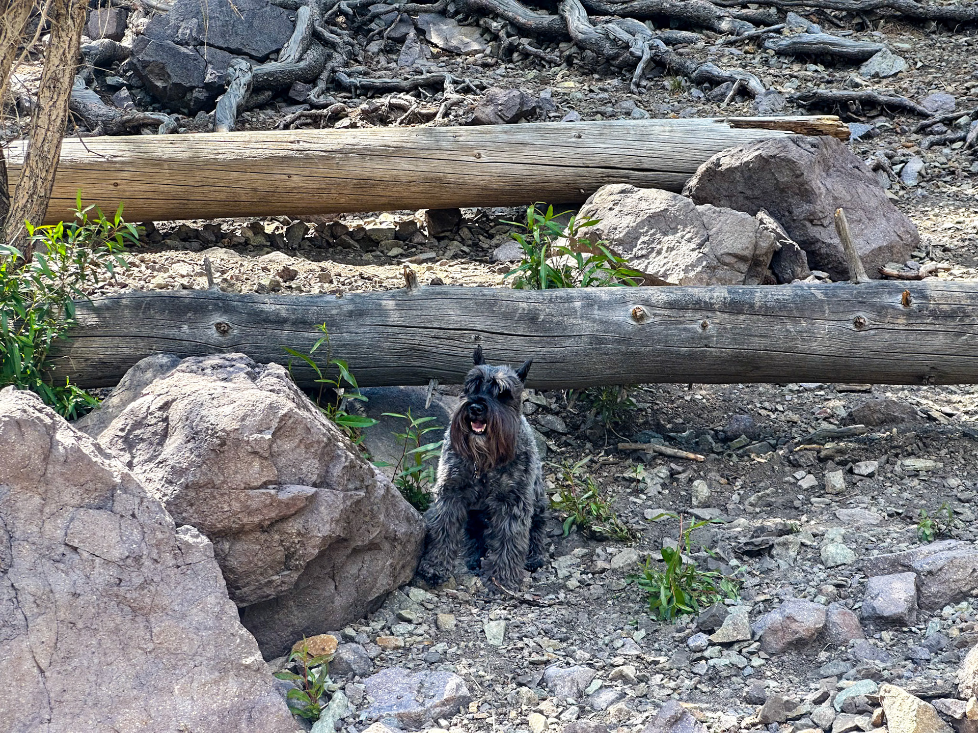 Hiking around Cabresto Lake